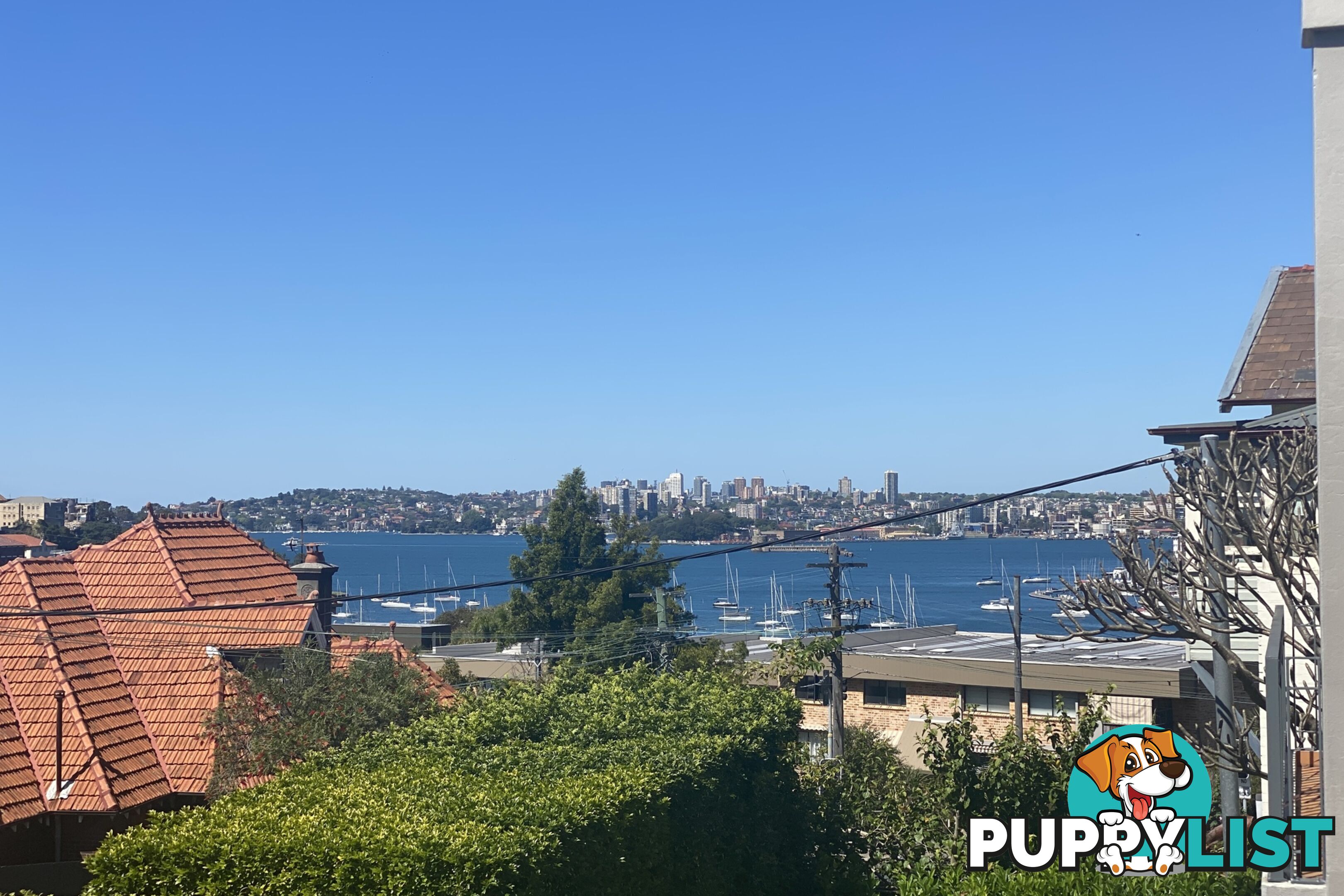 3/10-12 Ben Boyd Road Neutral Bay NSW 2089