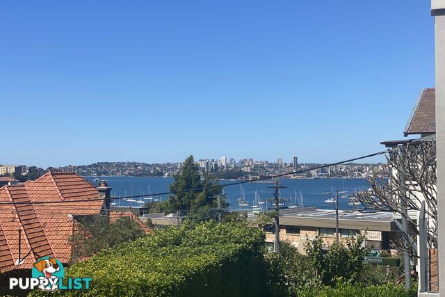 3/10-12 Ben Boyd Road Neutral Bay NSW 2089