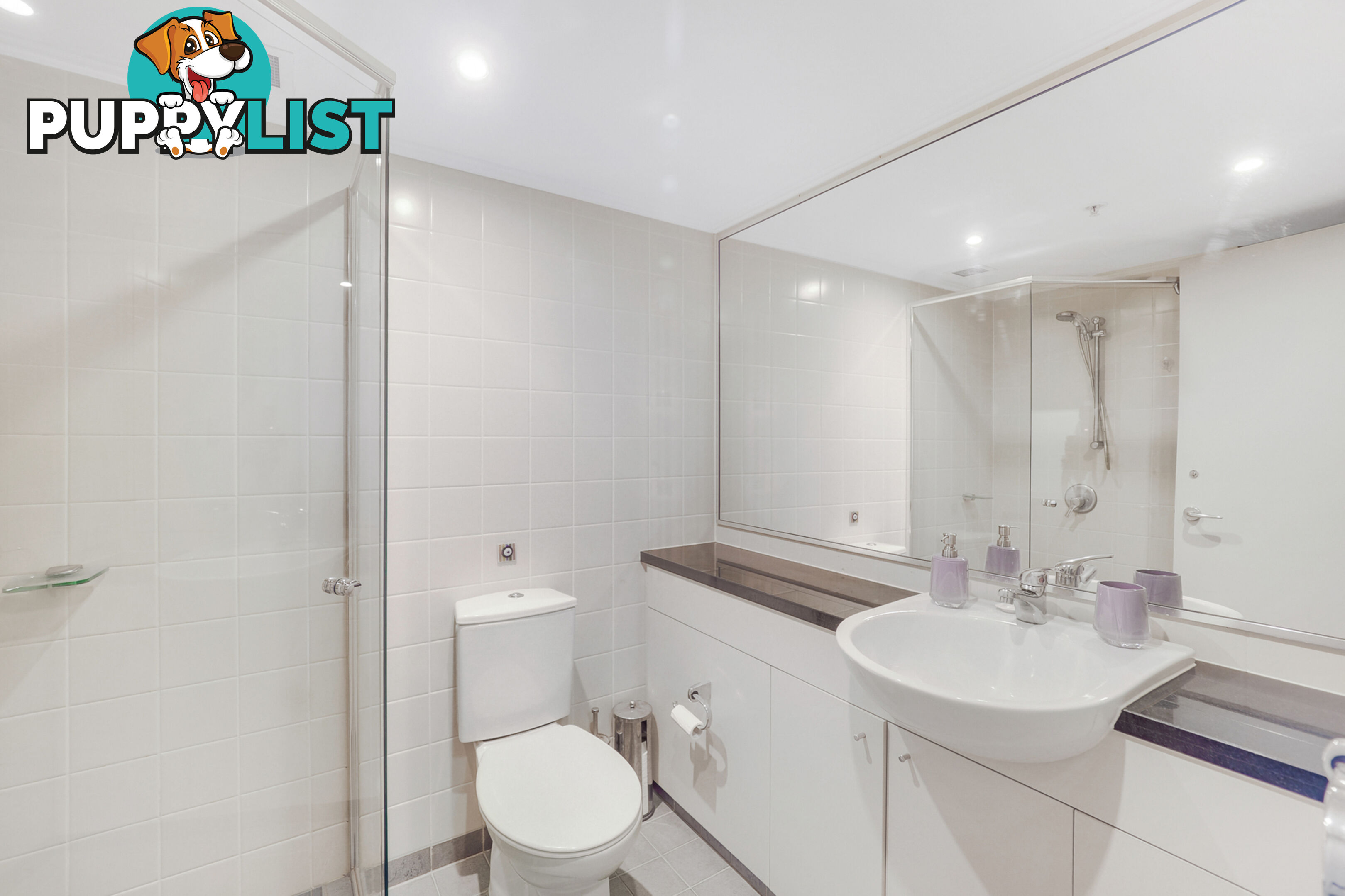 415/1 Sergeants Lane St Leonards NSW 2065