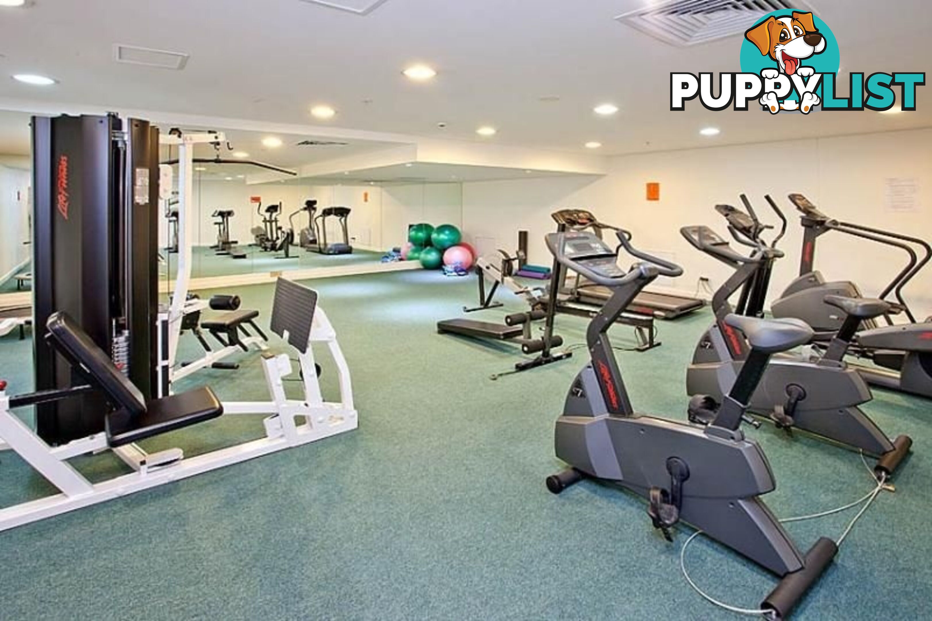 504/15 Atchison Street St Leonards NSW 2065