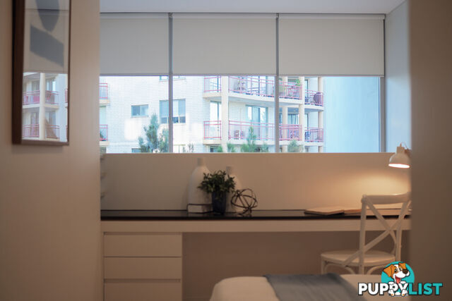 903/8 Northcote Street St Leonards NSW 2065