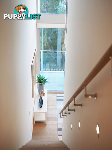 903/8 Northcote Street St Leonards NSW 2065