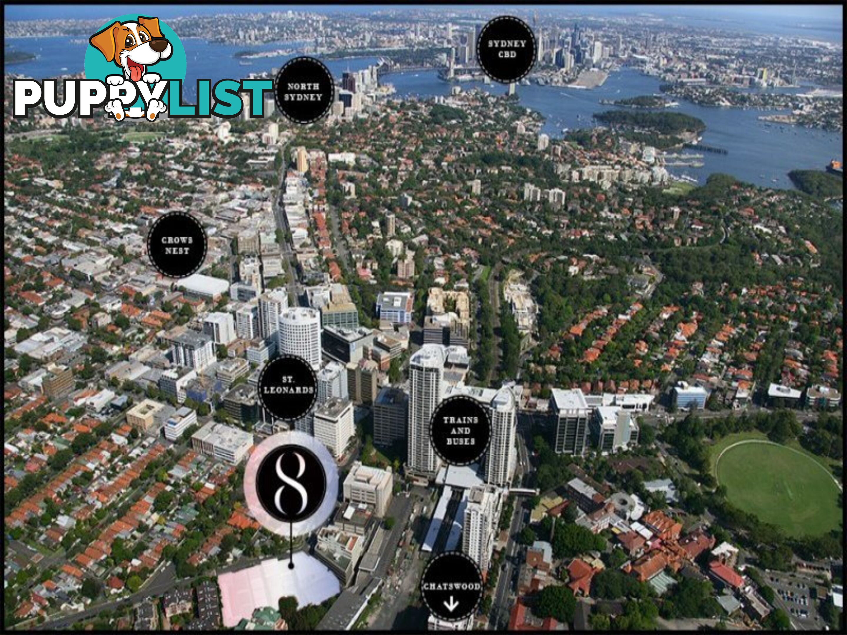 903/8 Northcote Street St Leonards NSW 2065
