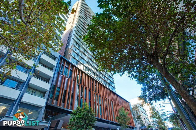 2307/10 Atchison Street St Leonards NSW 2065