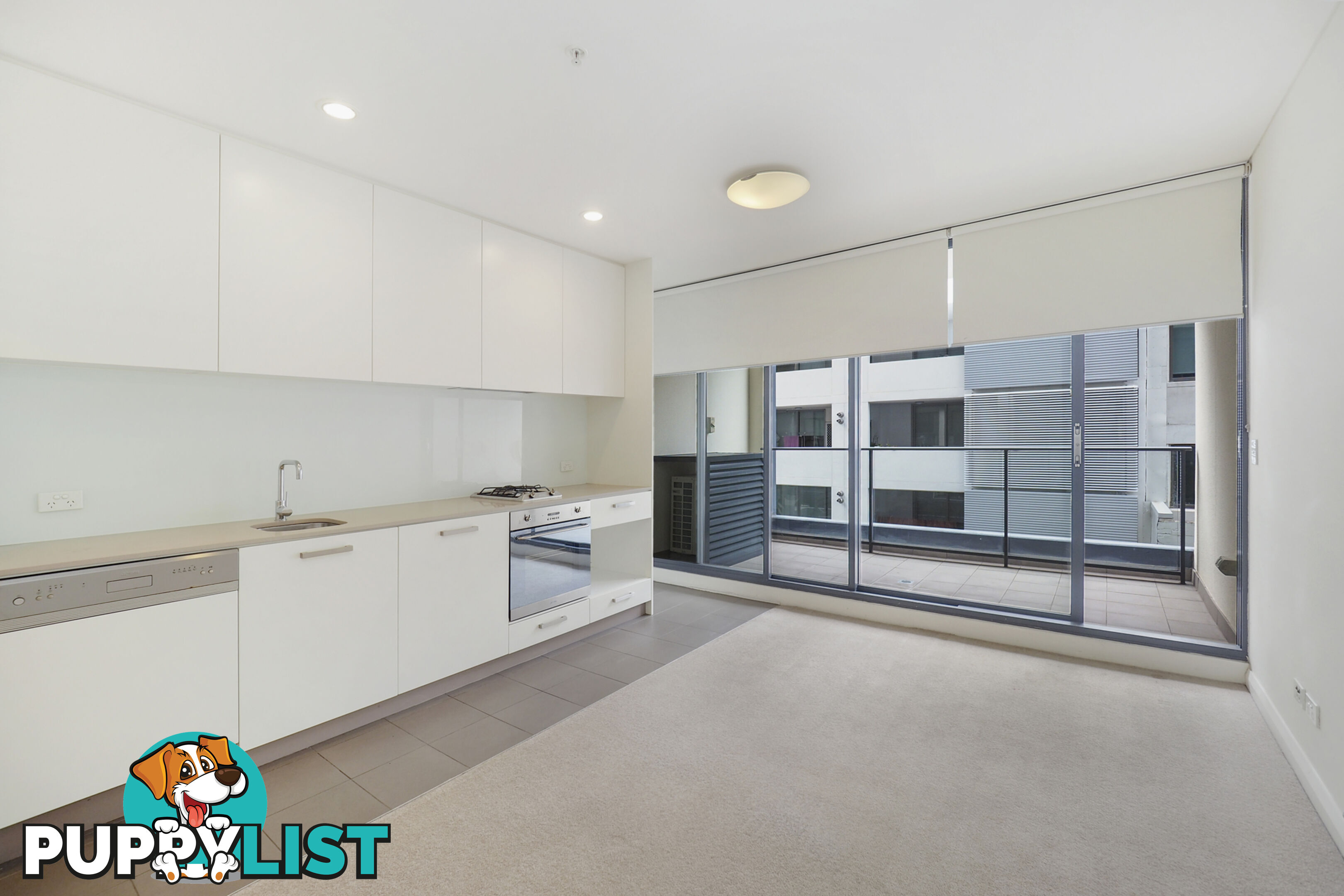 205/38 Atchison Street St Leonards NSW 2065