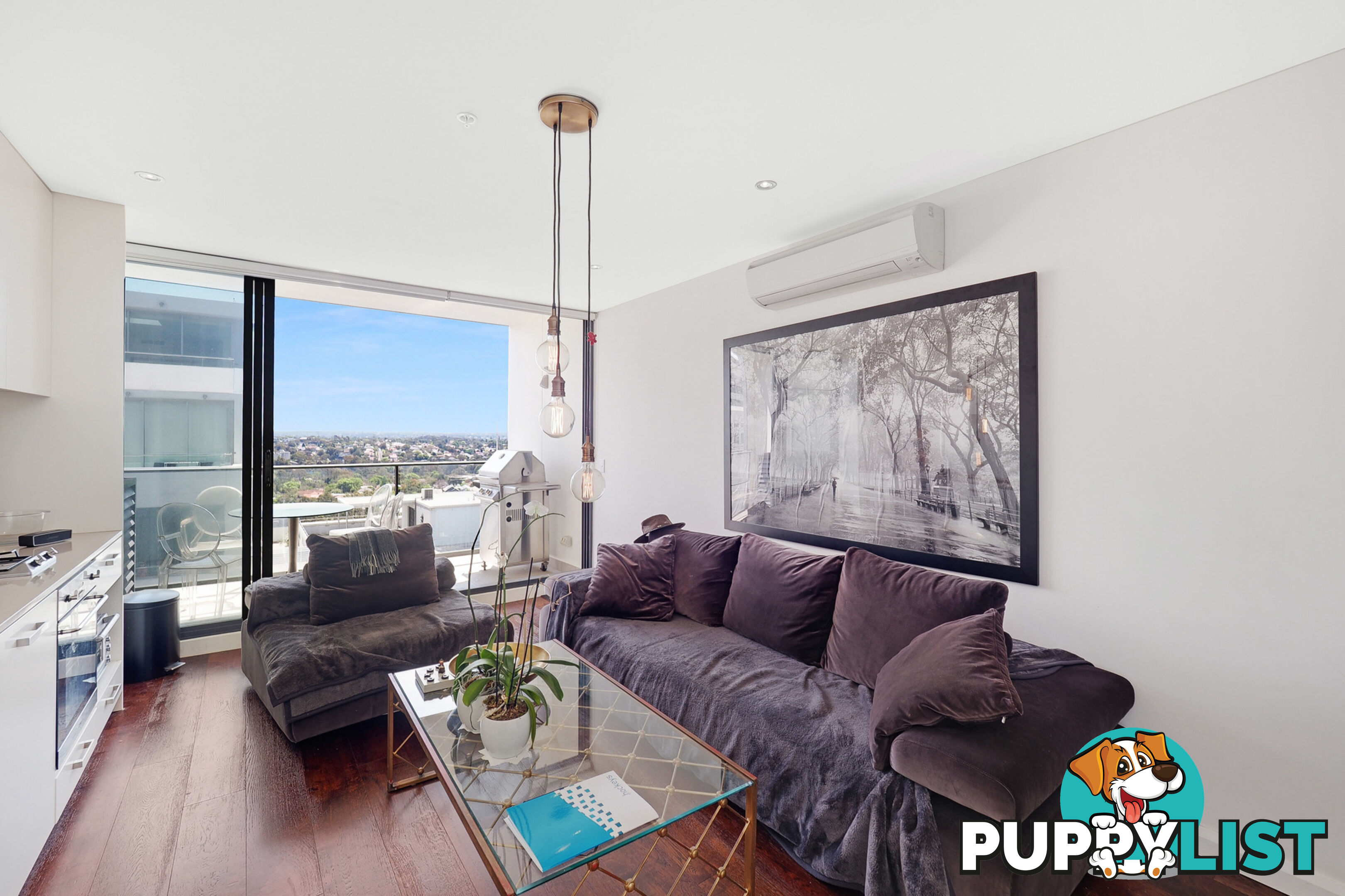 905/38 Atchison Street St Leonards NSW 2065