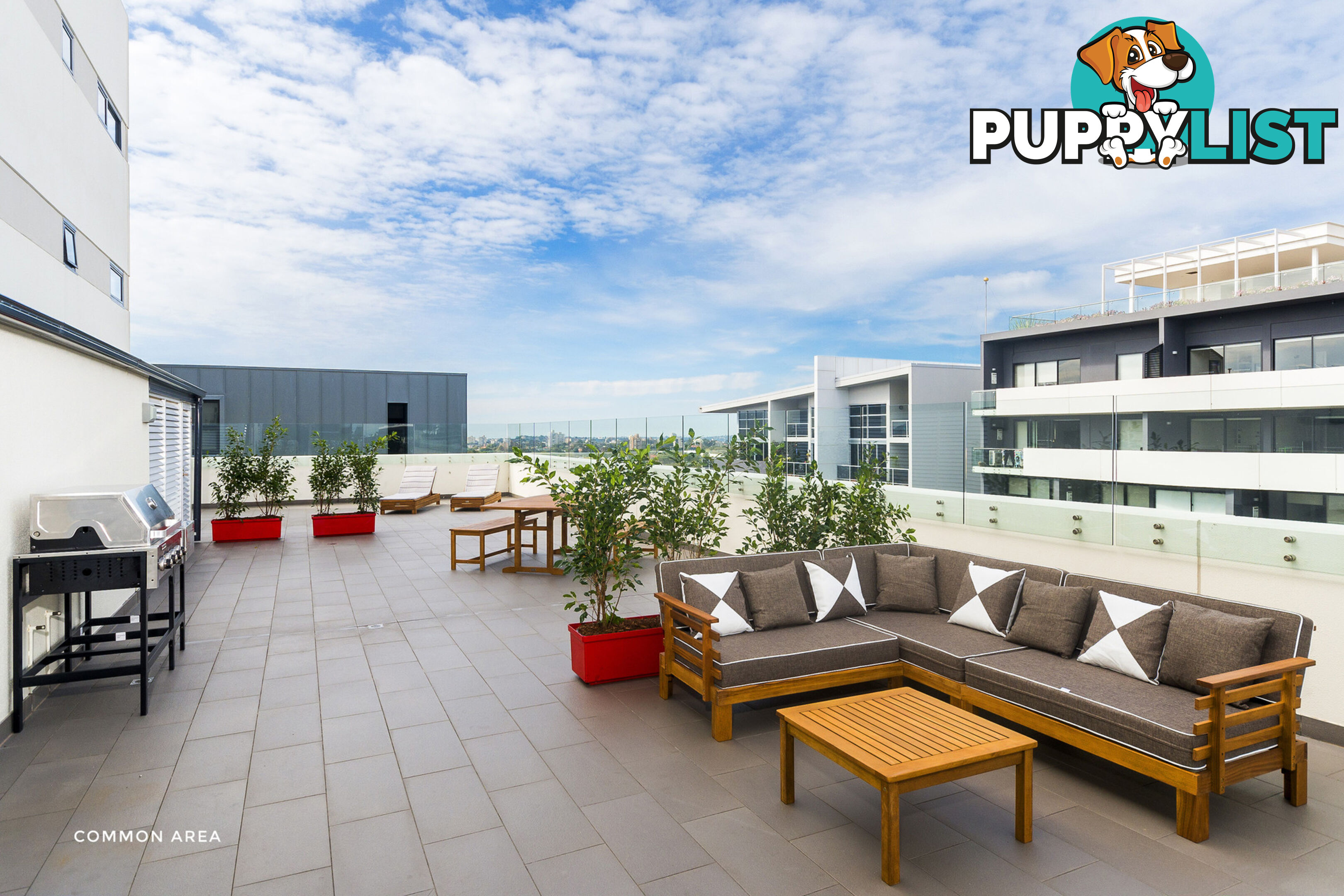 1006/38 Atchison Street St Leonards NSW 2065