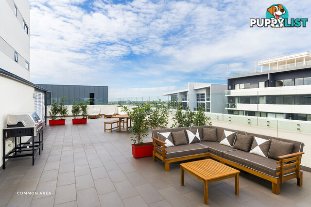 1006/38 Atchison Street St Leonards NSW 2065