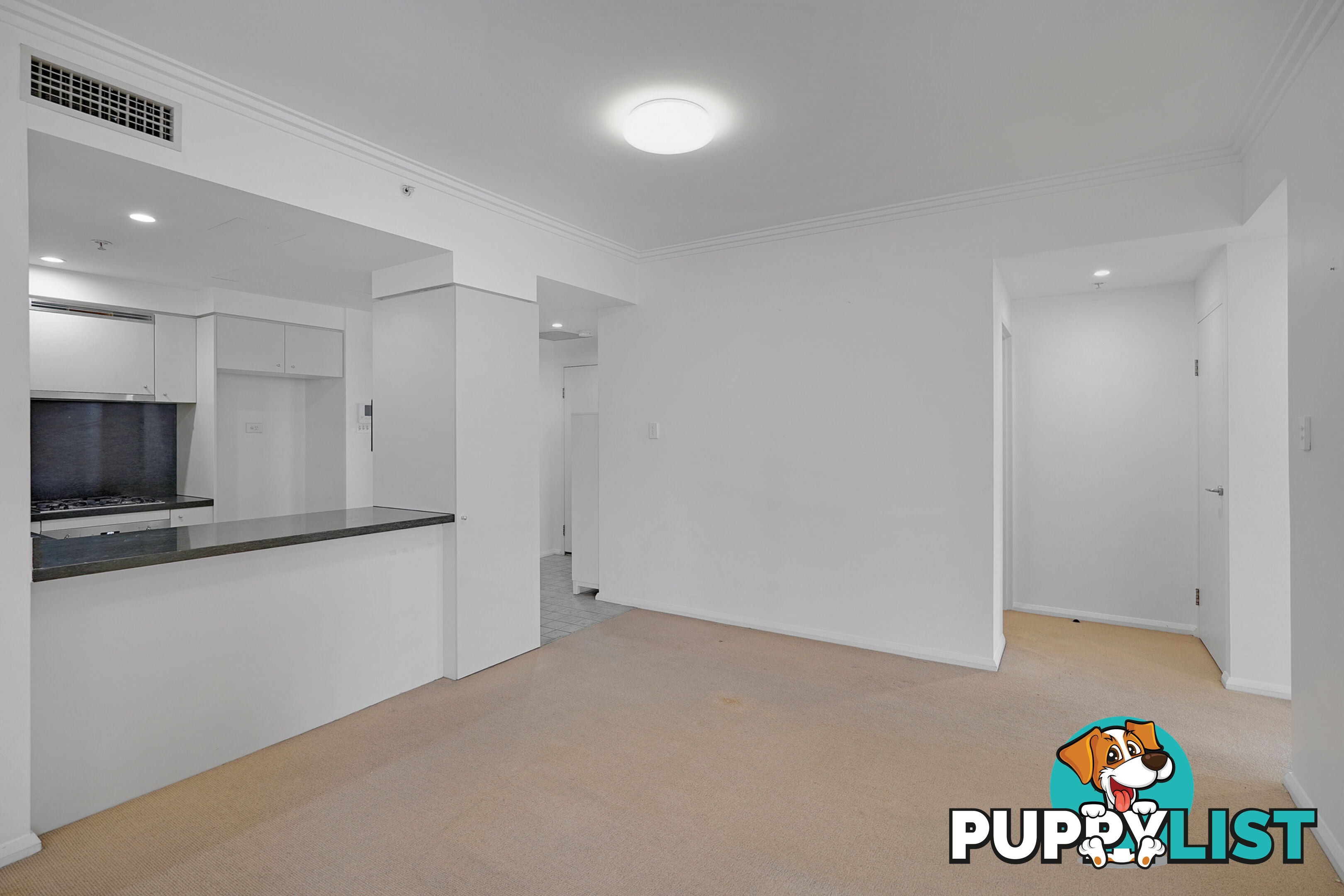 1807/1 Sergeants Lane St Leonards NSW 2065