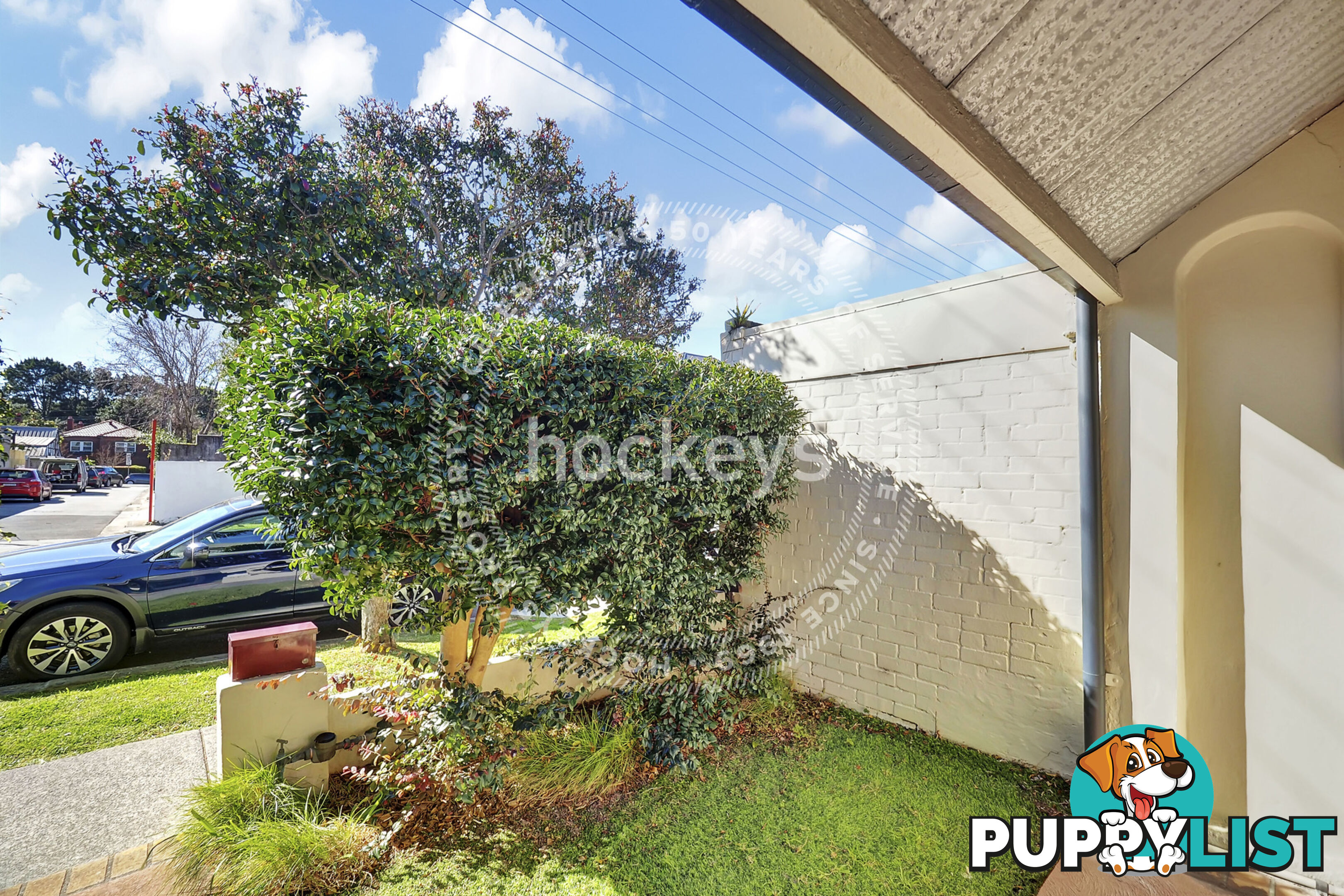 149 Holtermann Street Crows Nest NSW 2065