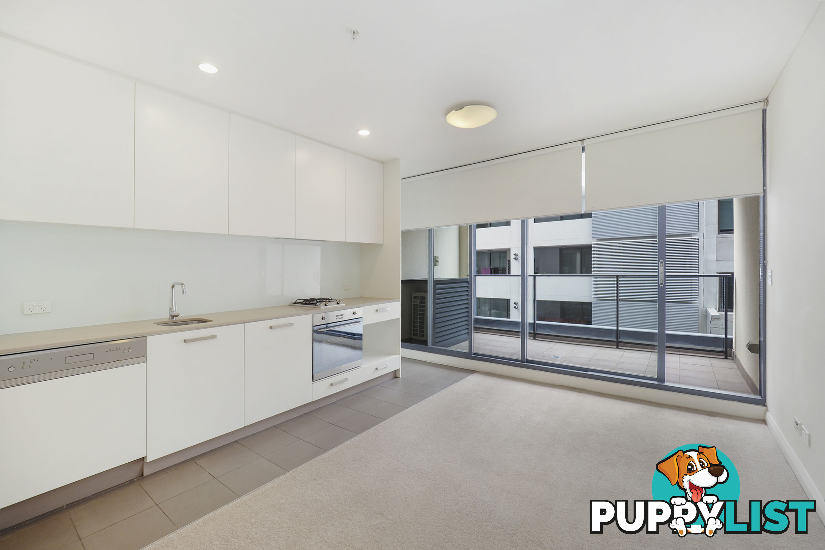 305/38 Atchison Street St Leonards NSW 2065