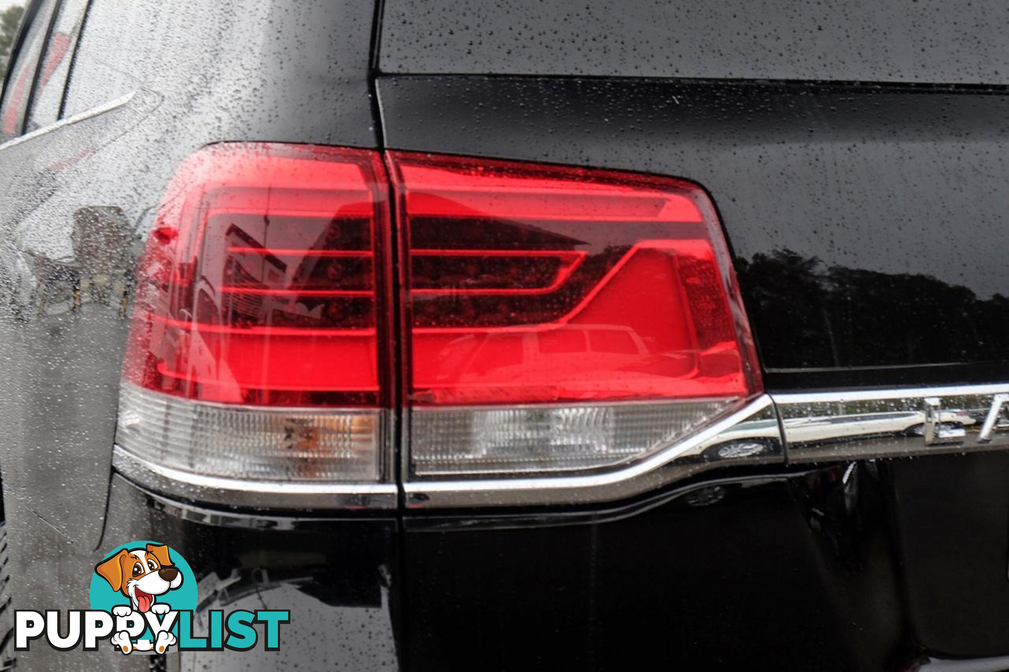 2019 TOYOTA LANDCRUISER   SUV
