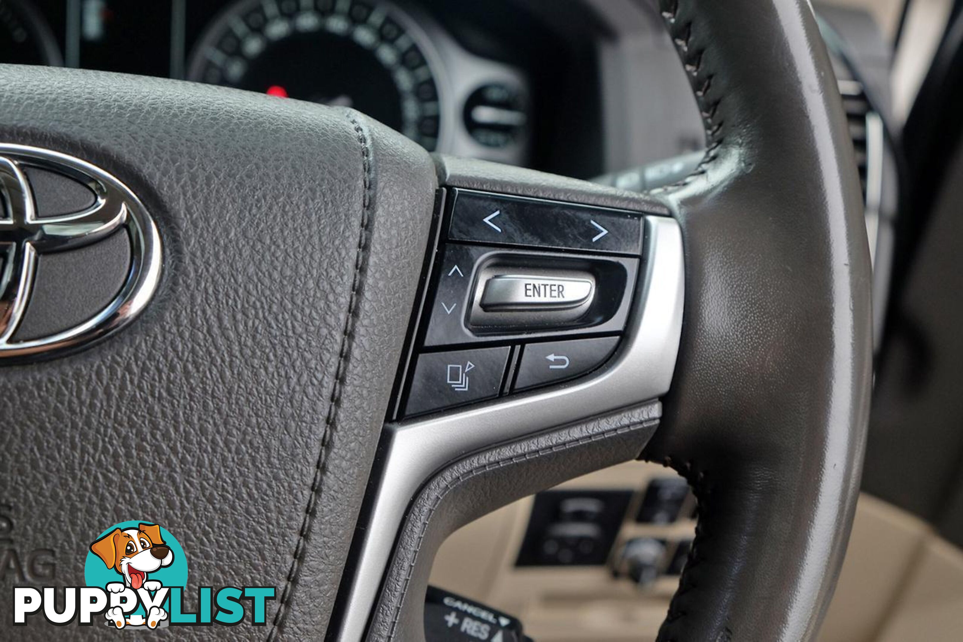 2019 TOYOTA LANDCRUISER   SUV