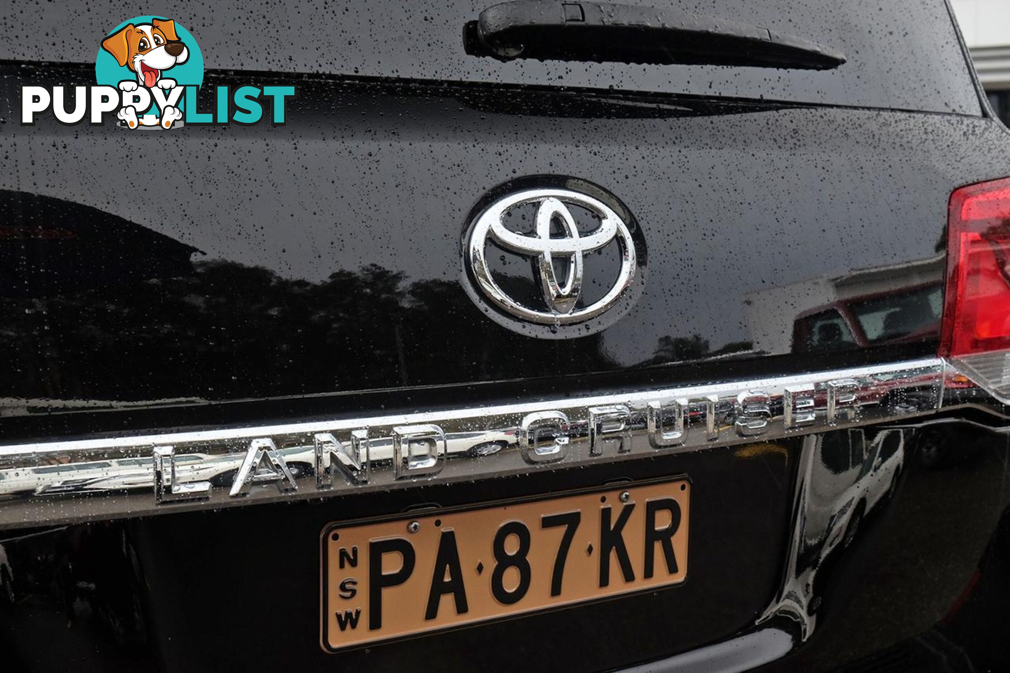 2019 TOYOTA LANDCRUISER   SUV