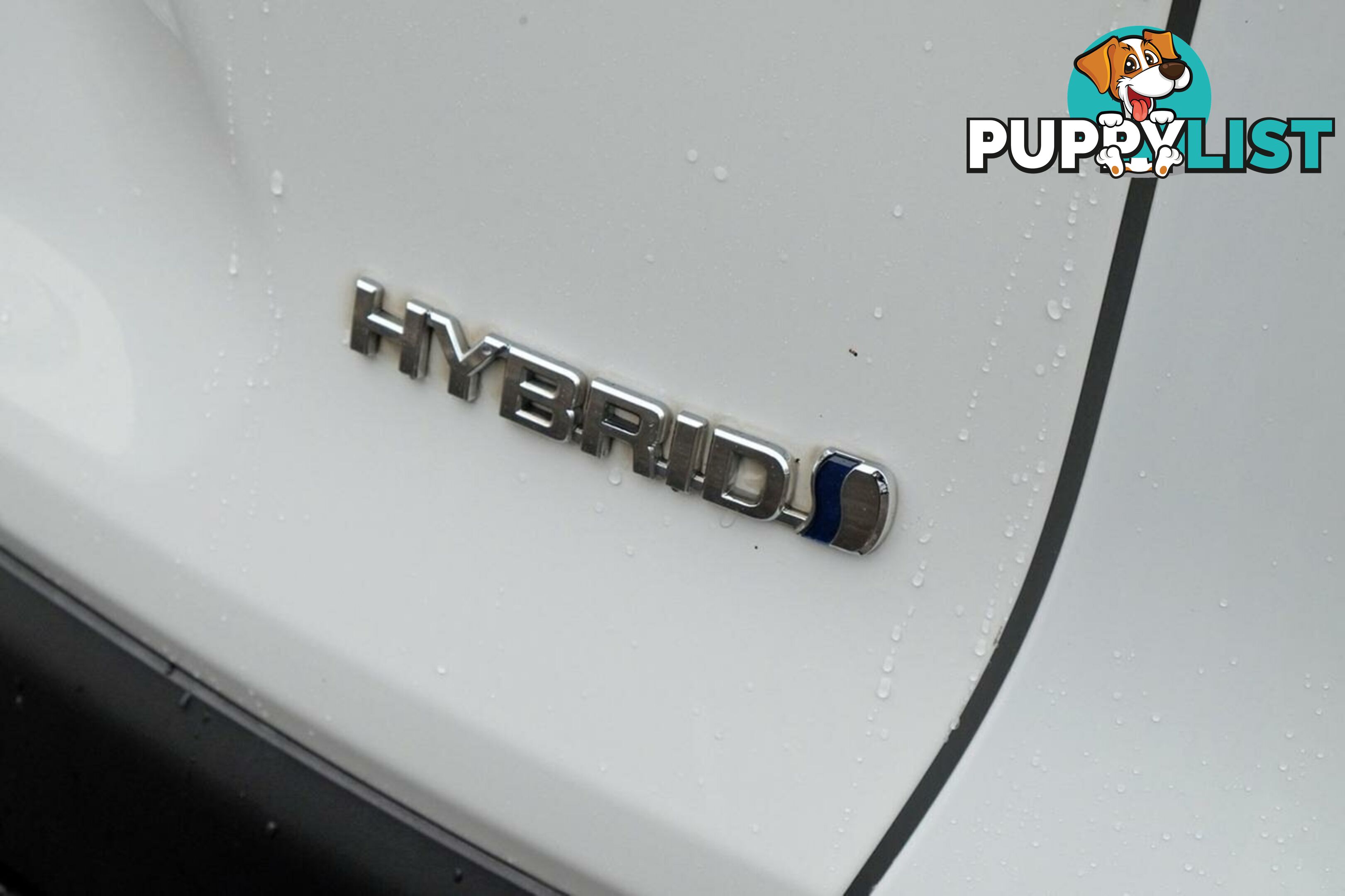 2021 TOYOTA RAV4 HYBRID  SUV