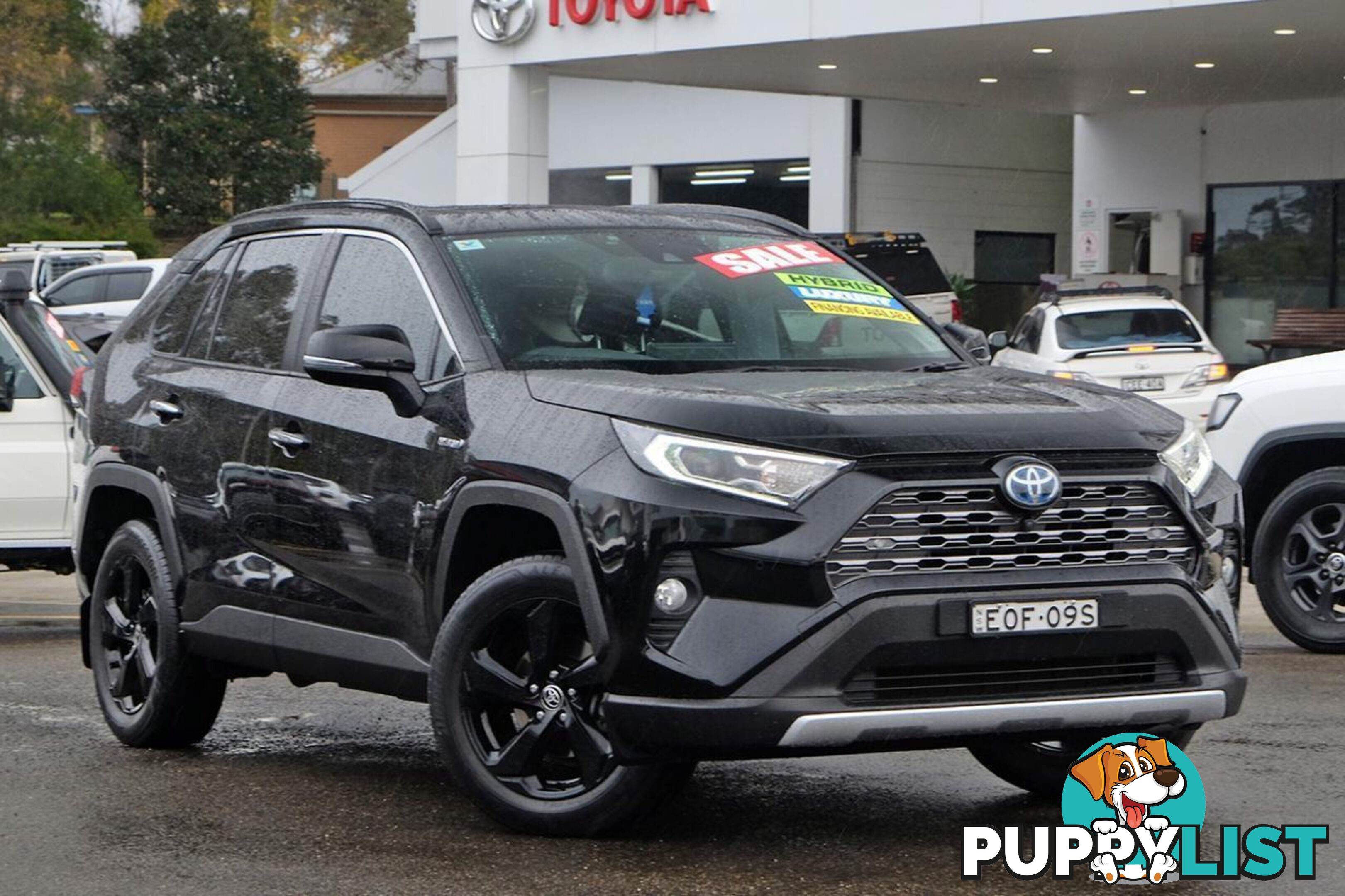 2021 TOYOTA RAV4   SUV