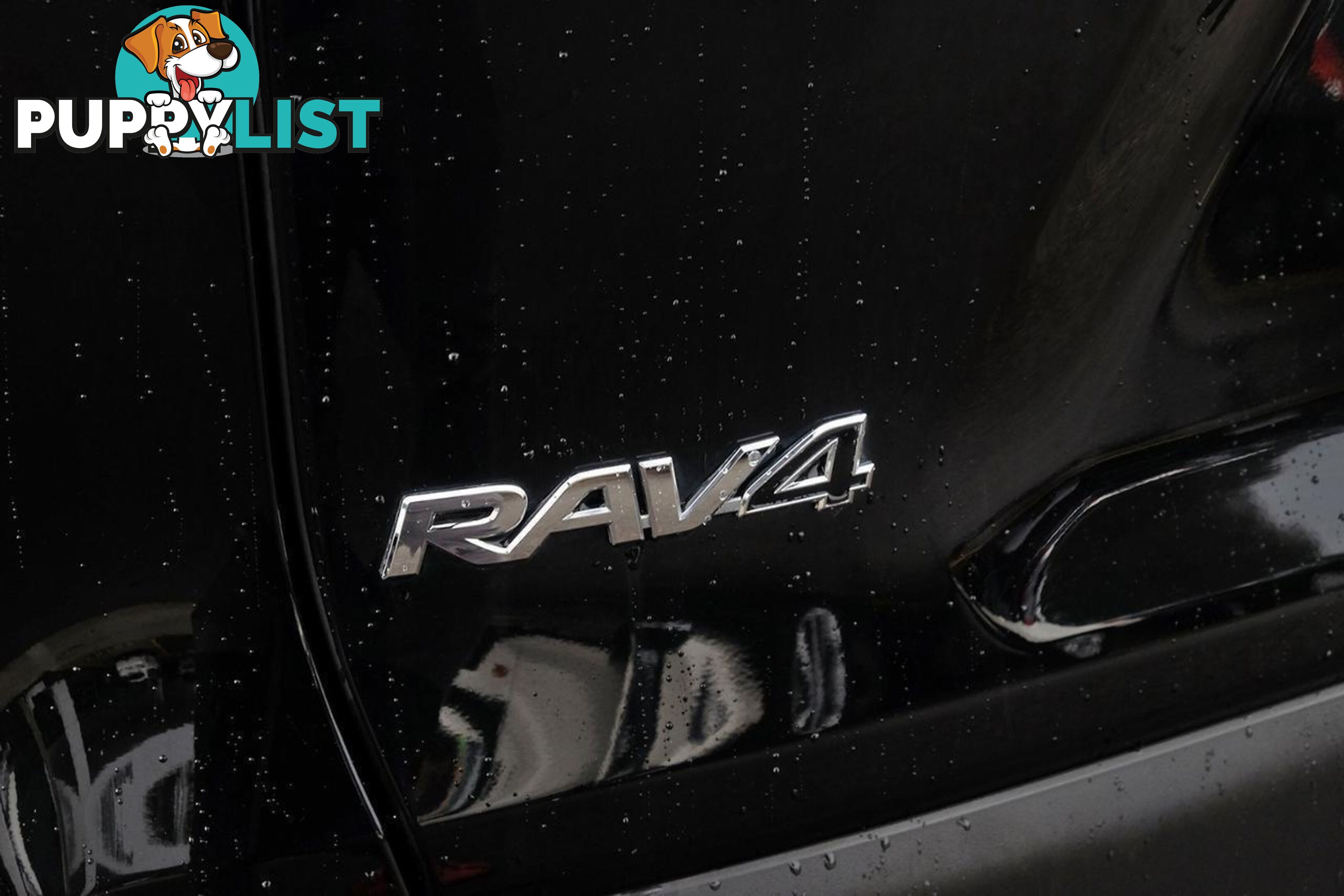 2021 TOYOTA RAV4   SUV