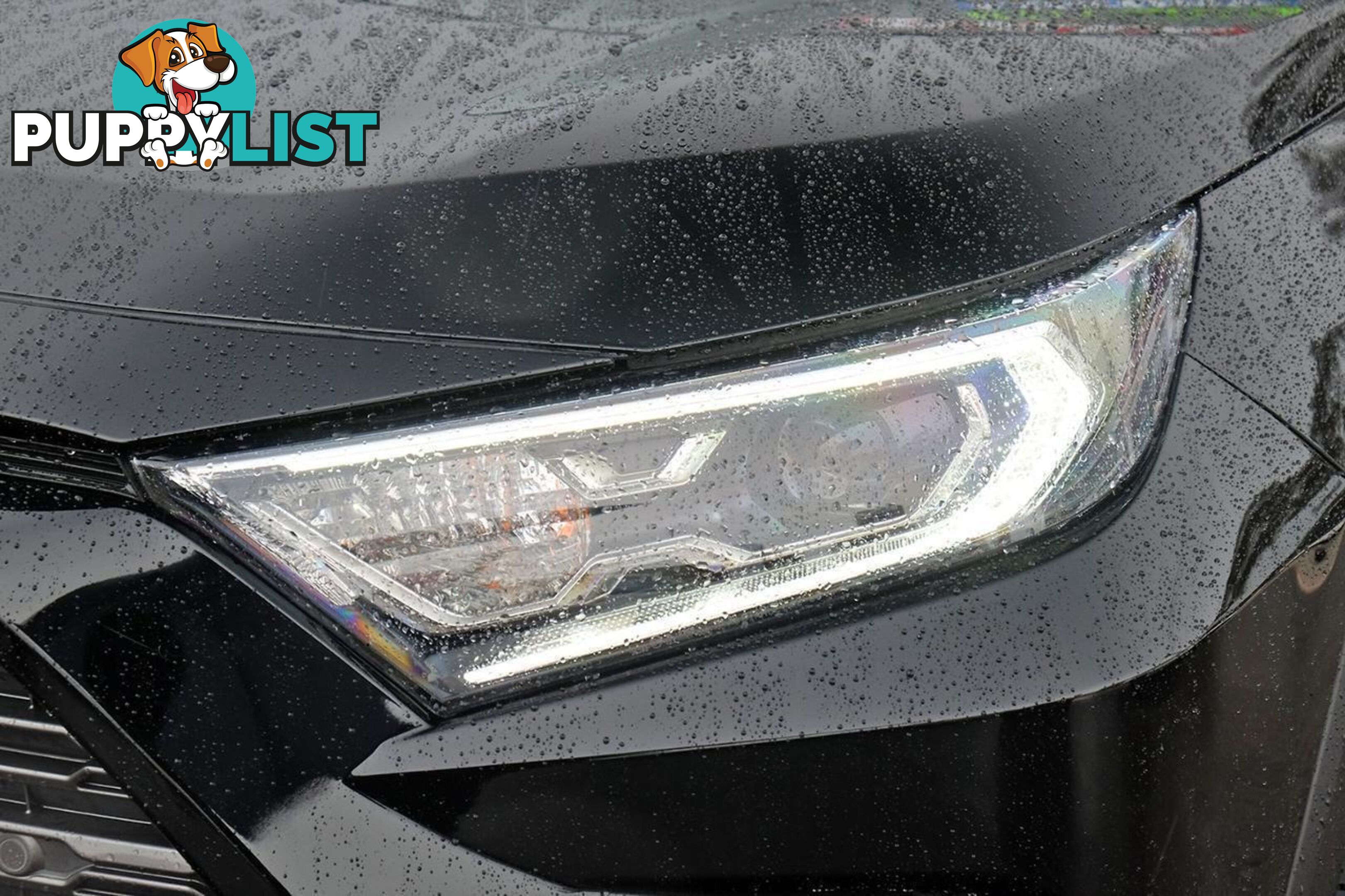 2021 TOYOTA RAV4   SUV