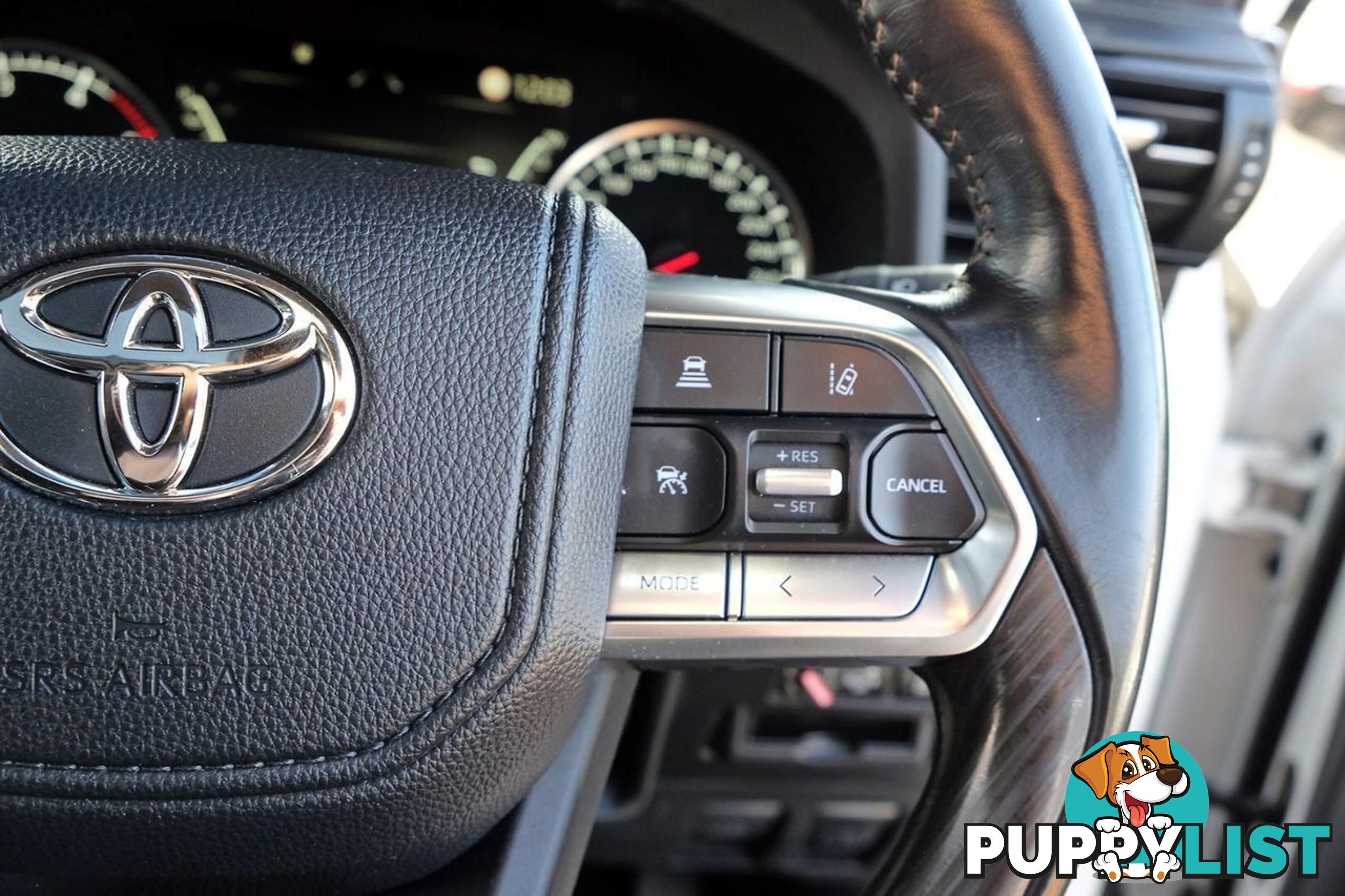 2024 TOYOTA LANDCRUISER   SUV