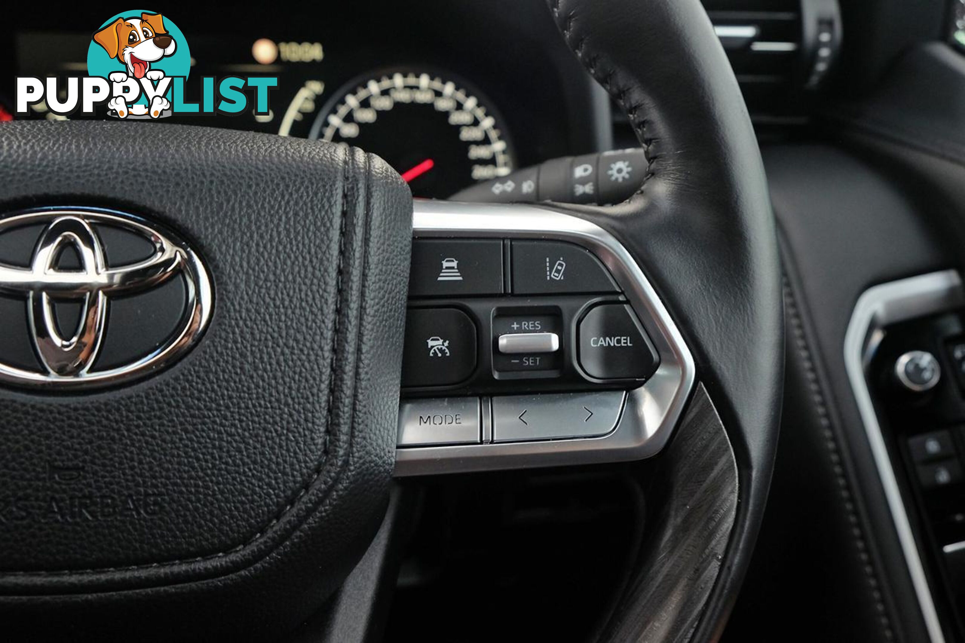 2024 TOYOTA LANDCRUISER   SUV