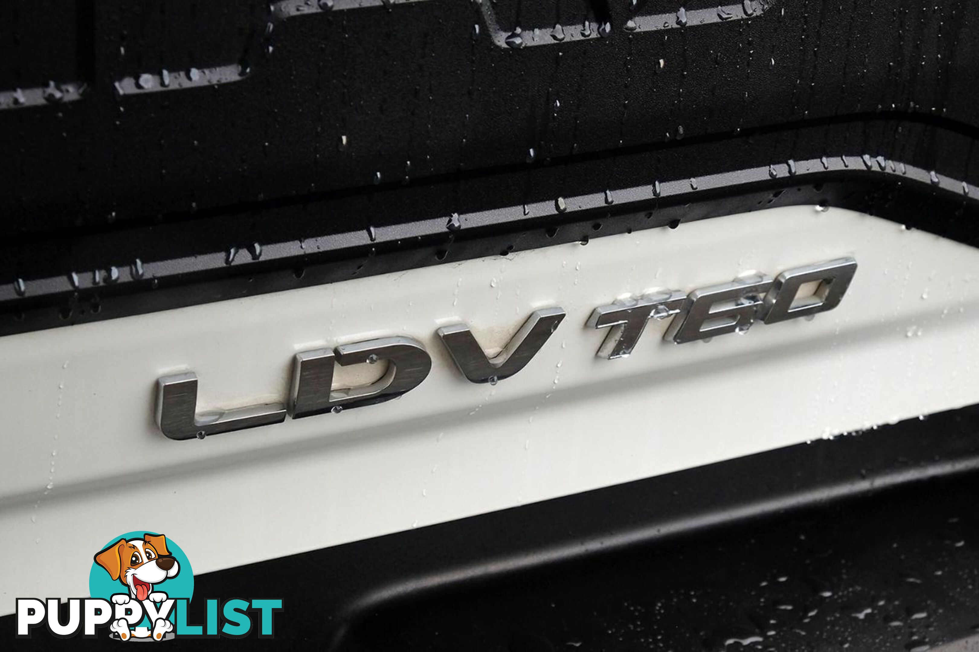 2023 LDV T60 MAX LUXE (4X4) SK8C MY23 DOUBLE CAB UTILITY