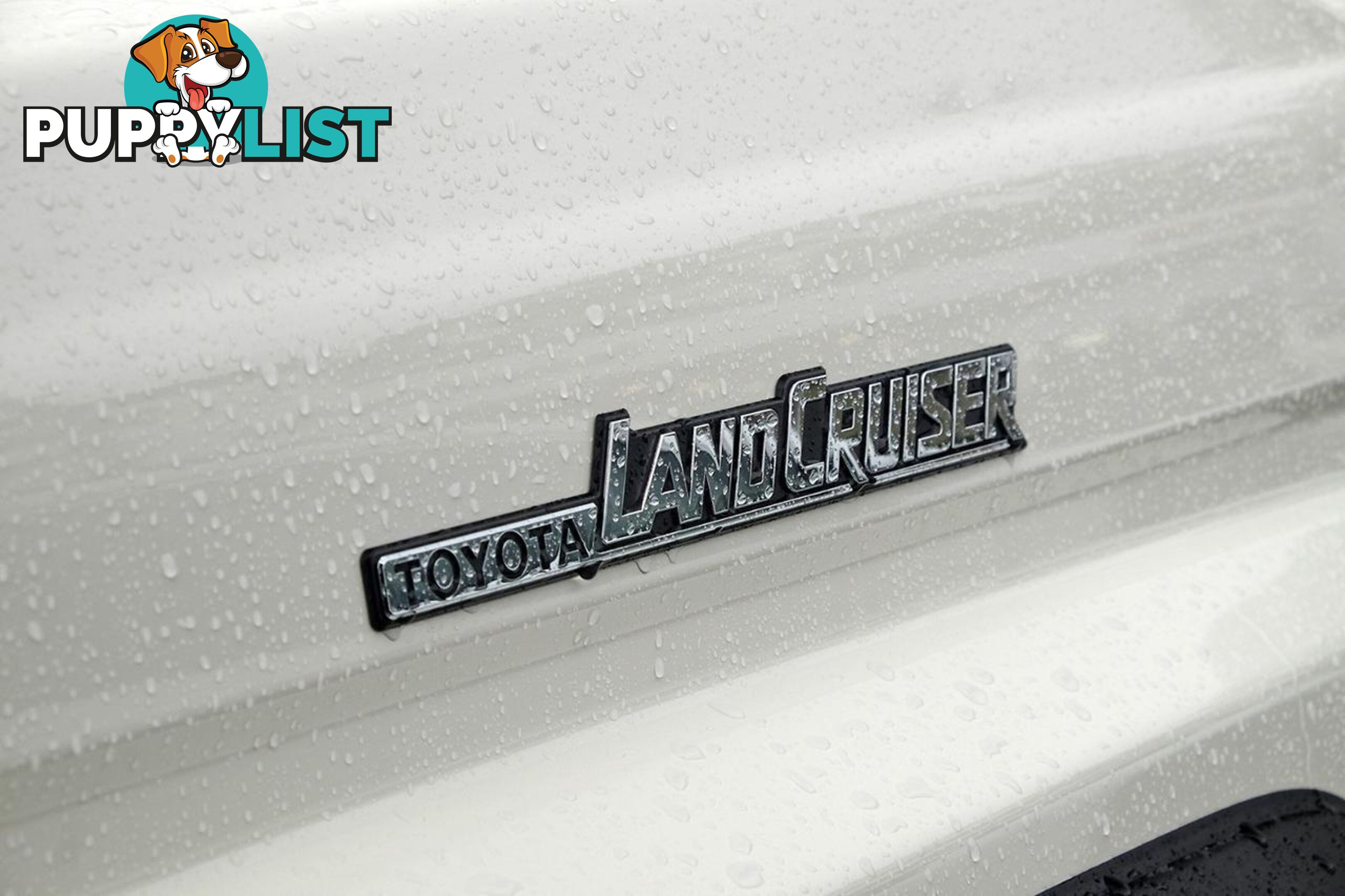 2025 TOYOTA LANDCRUISER   SUV