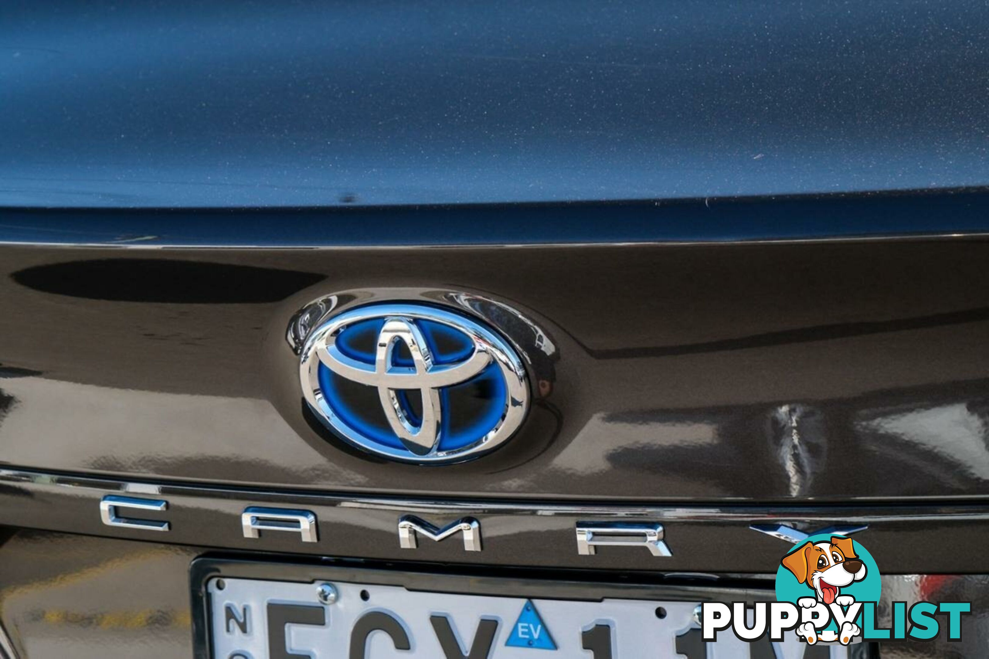 2024 TOYOTA CAMRY HYBRID  SEDAN