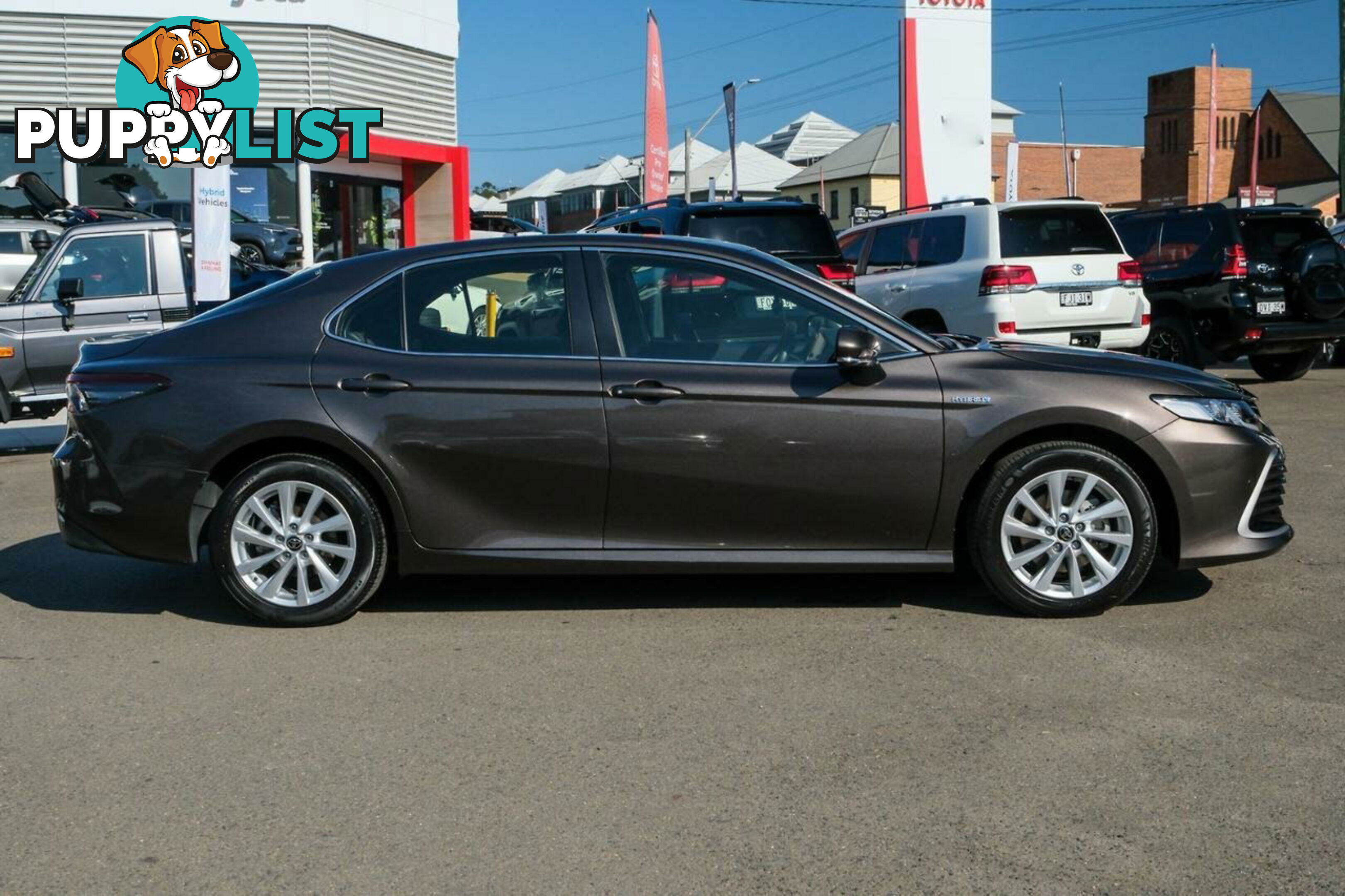 2024 TOYOTA CAMRY HYBRID  SEDAN