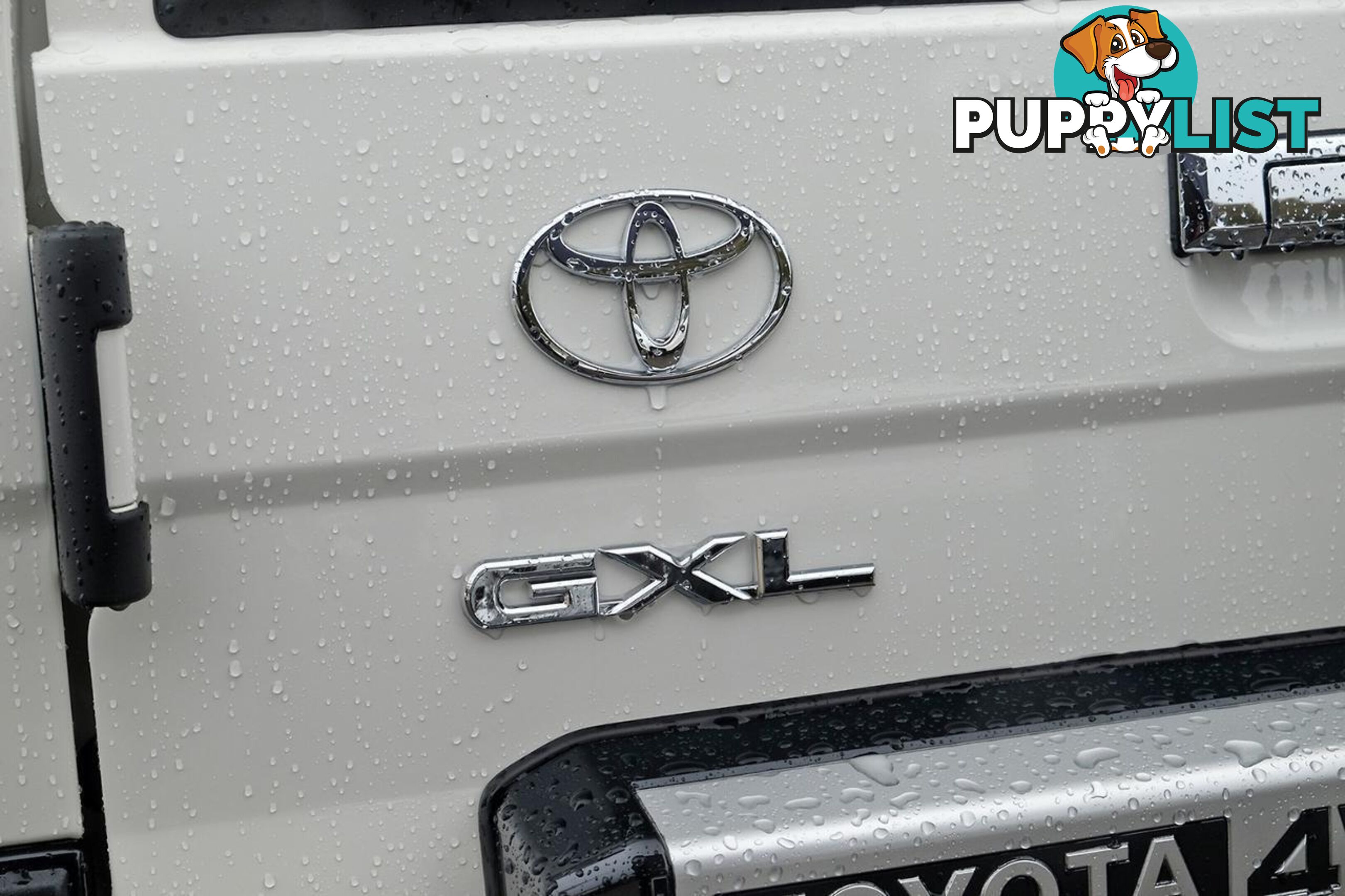 2025 TOYOTA LANDCRUISER   SUV