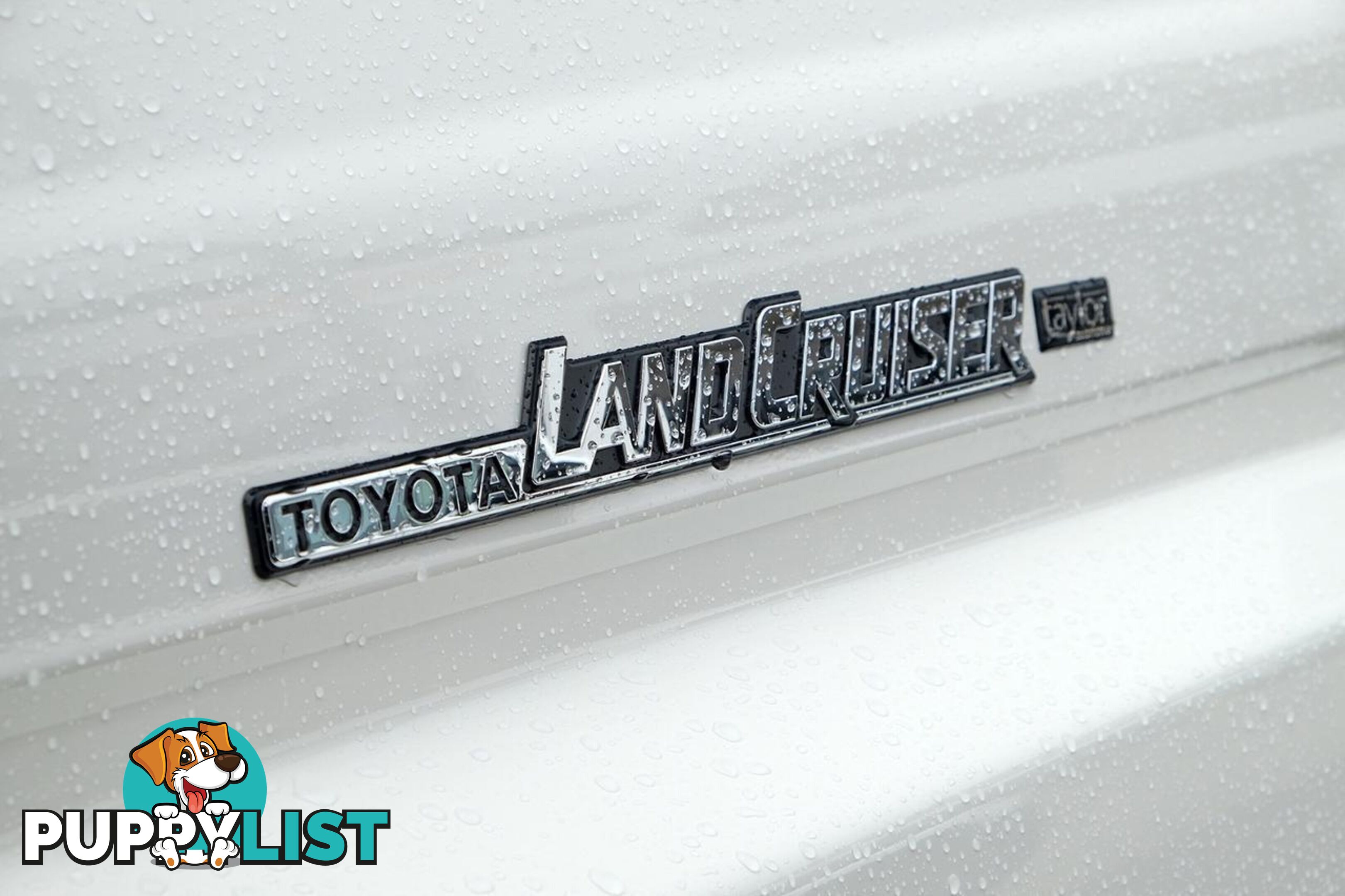 2025 TOYOTA LANDCRUISER   SUV