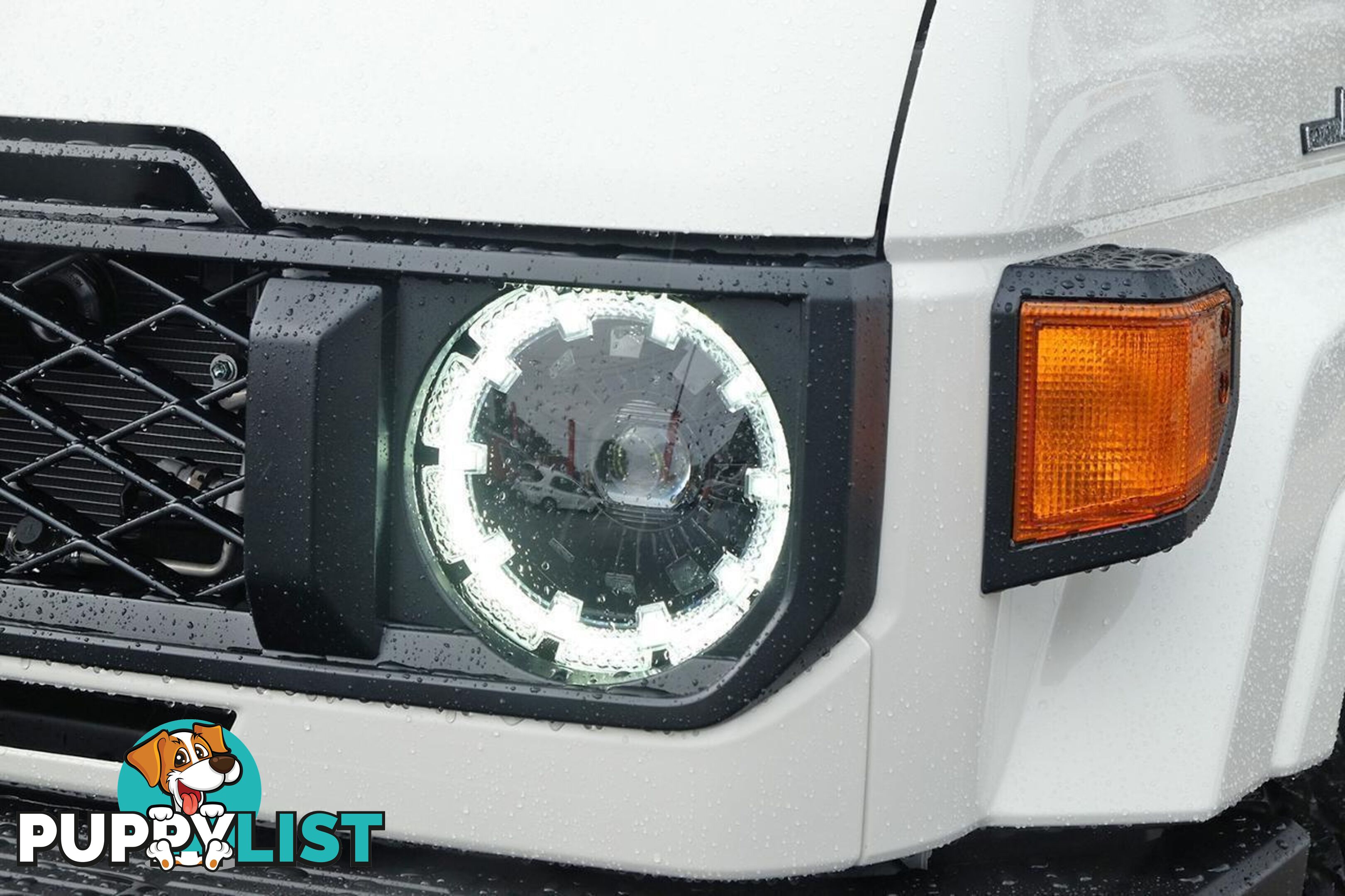 2025 TOYOTA LANDCRUISER   SUV