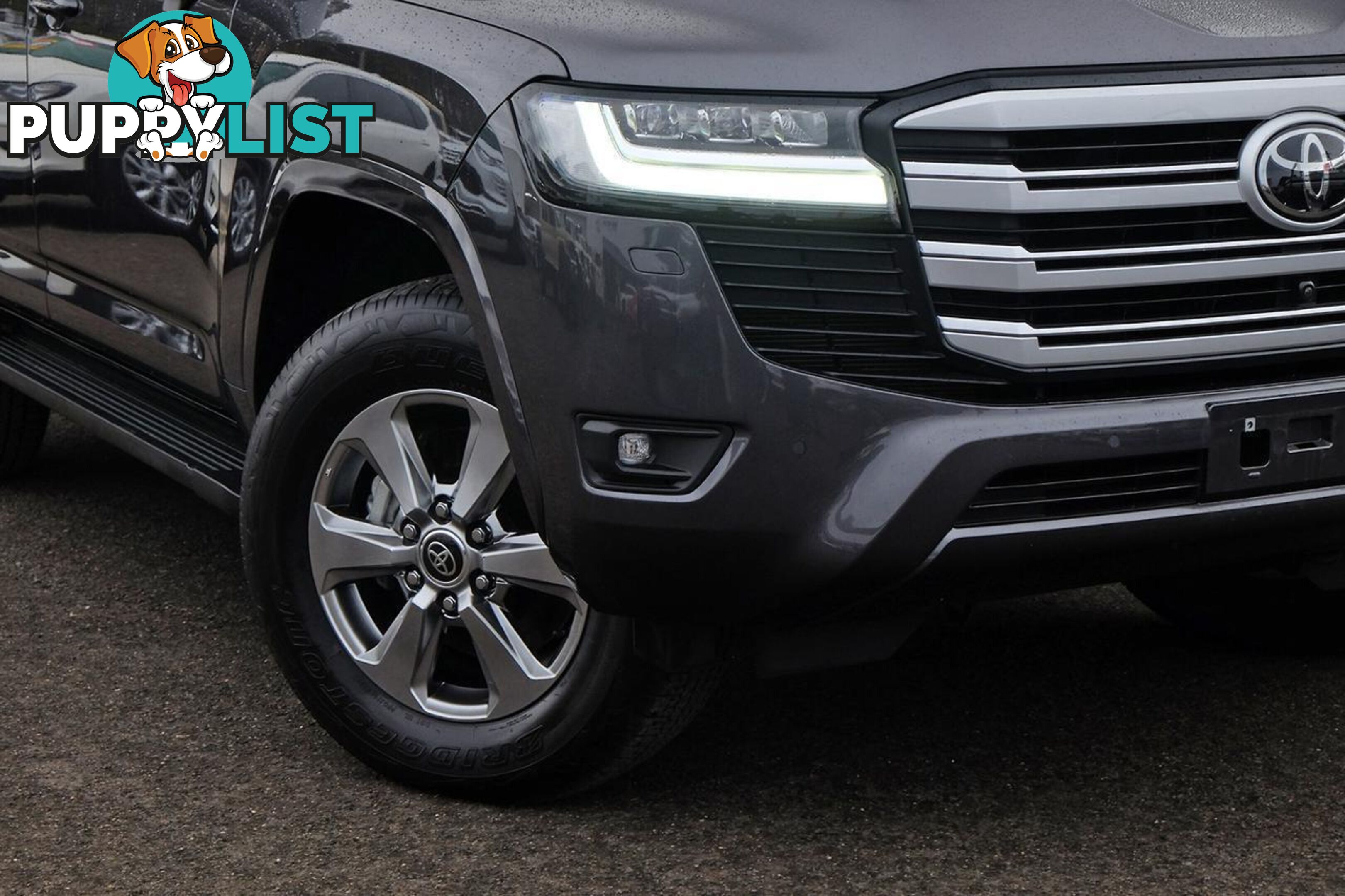 2023 TOYOTA LANDCRUISER   SUV