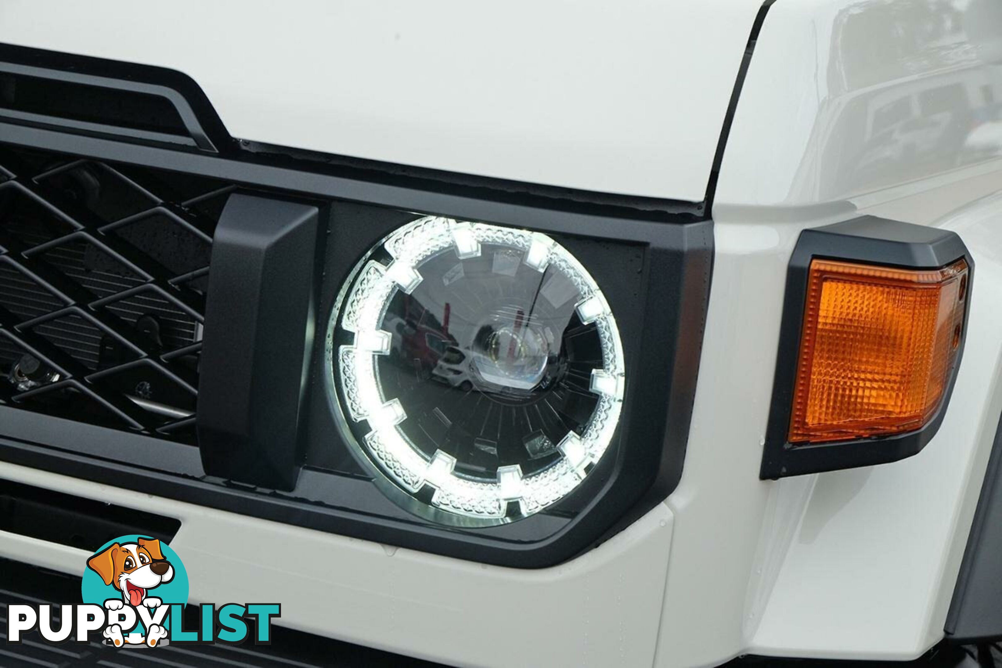 2025 TOYOTA LANDCRUISER   SUV