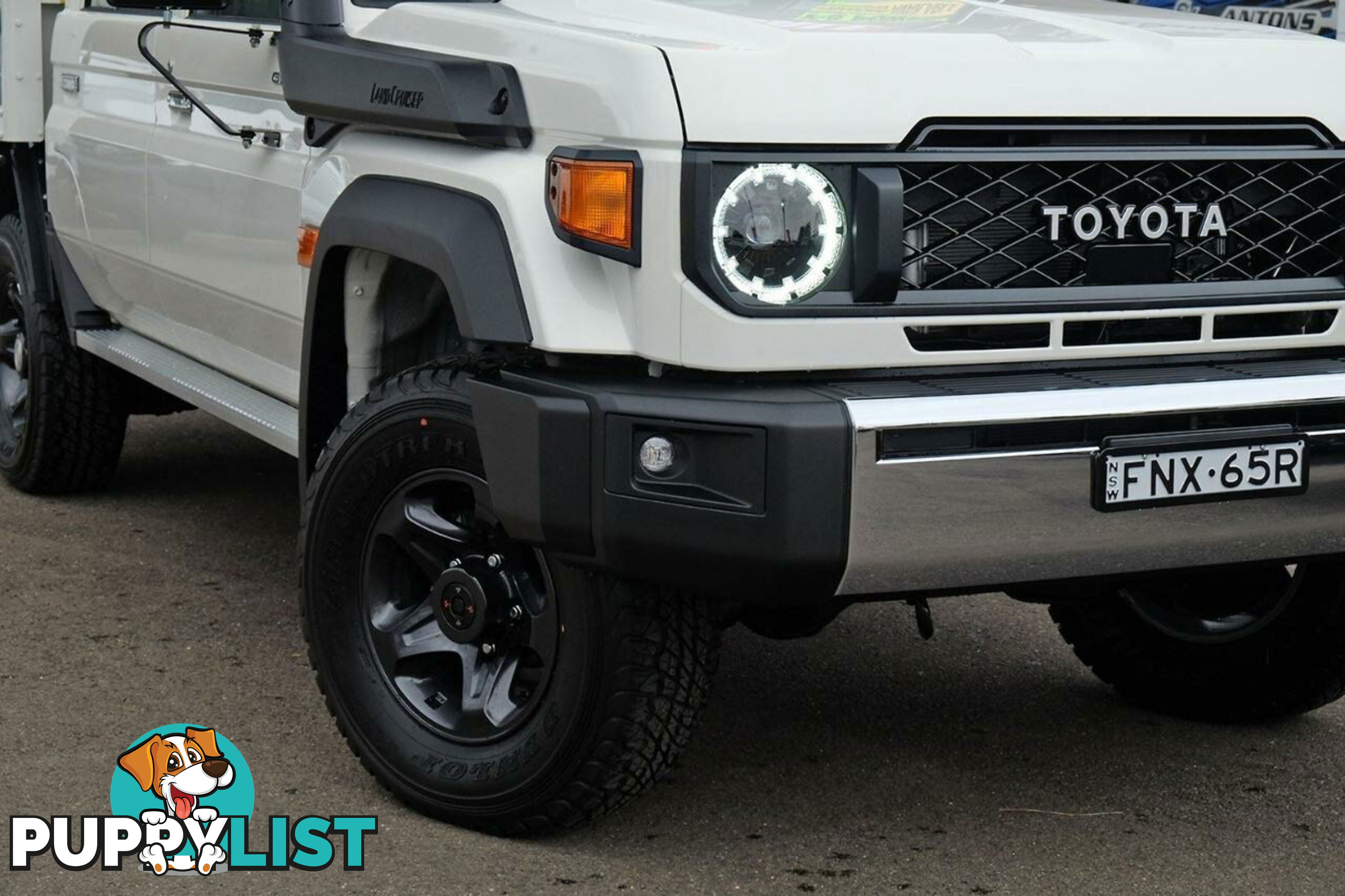 2025 TOYOTA LANDCRUISER   SUV