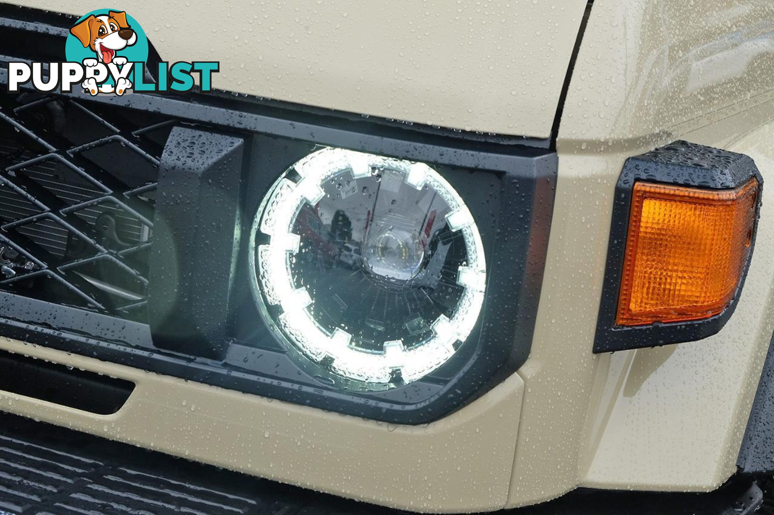 2025 TOYOTA LANDCRUISER   SUV