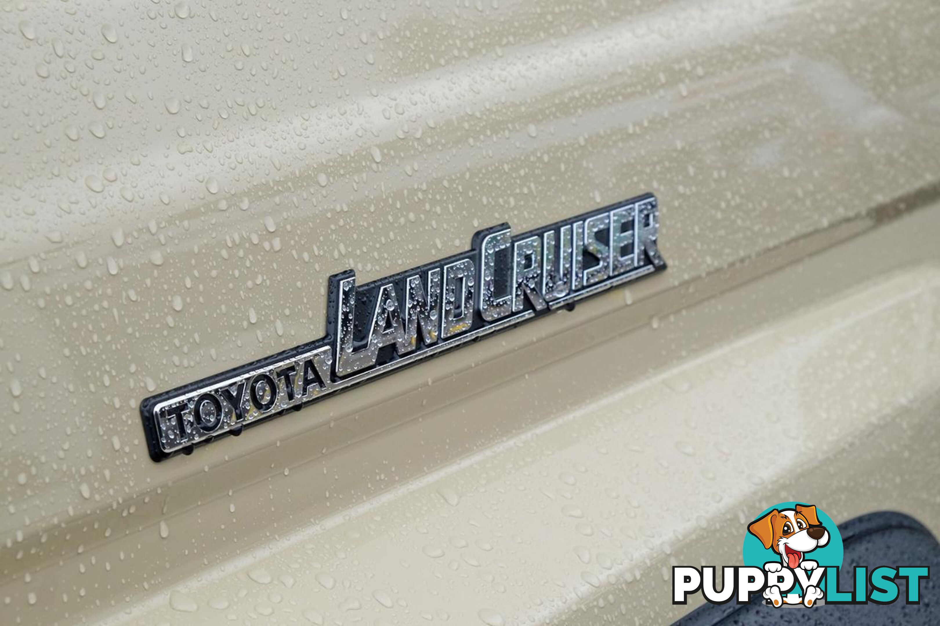 2025 TOYOTA LANDCRUISER   SUV