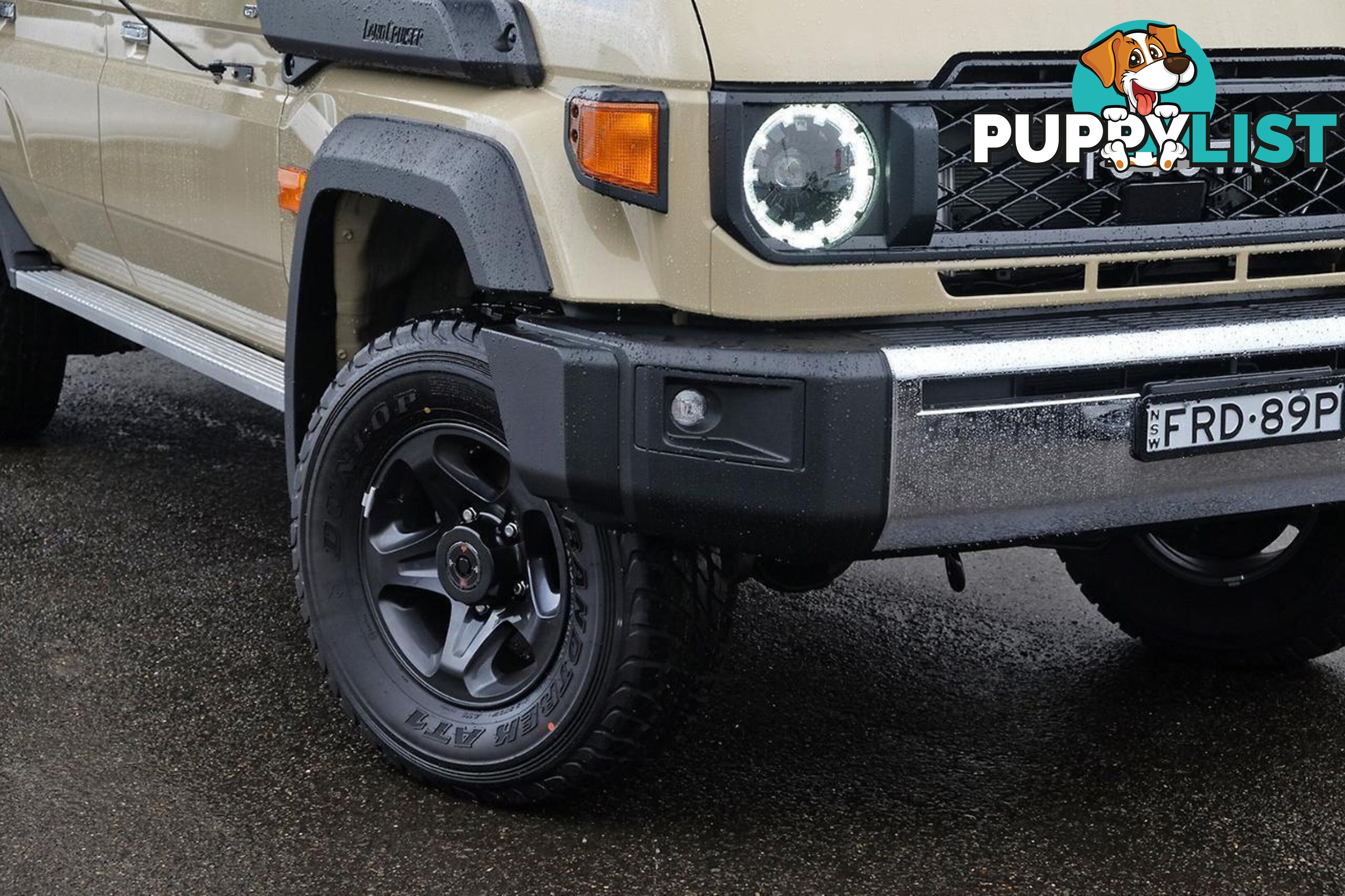 2025 TOYOTA LANDCRUISER   SUV