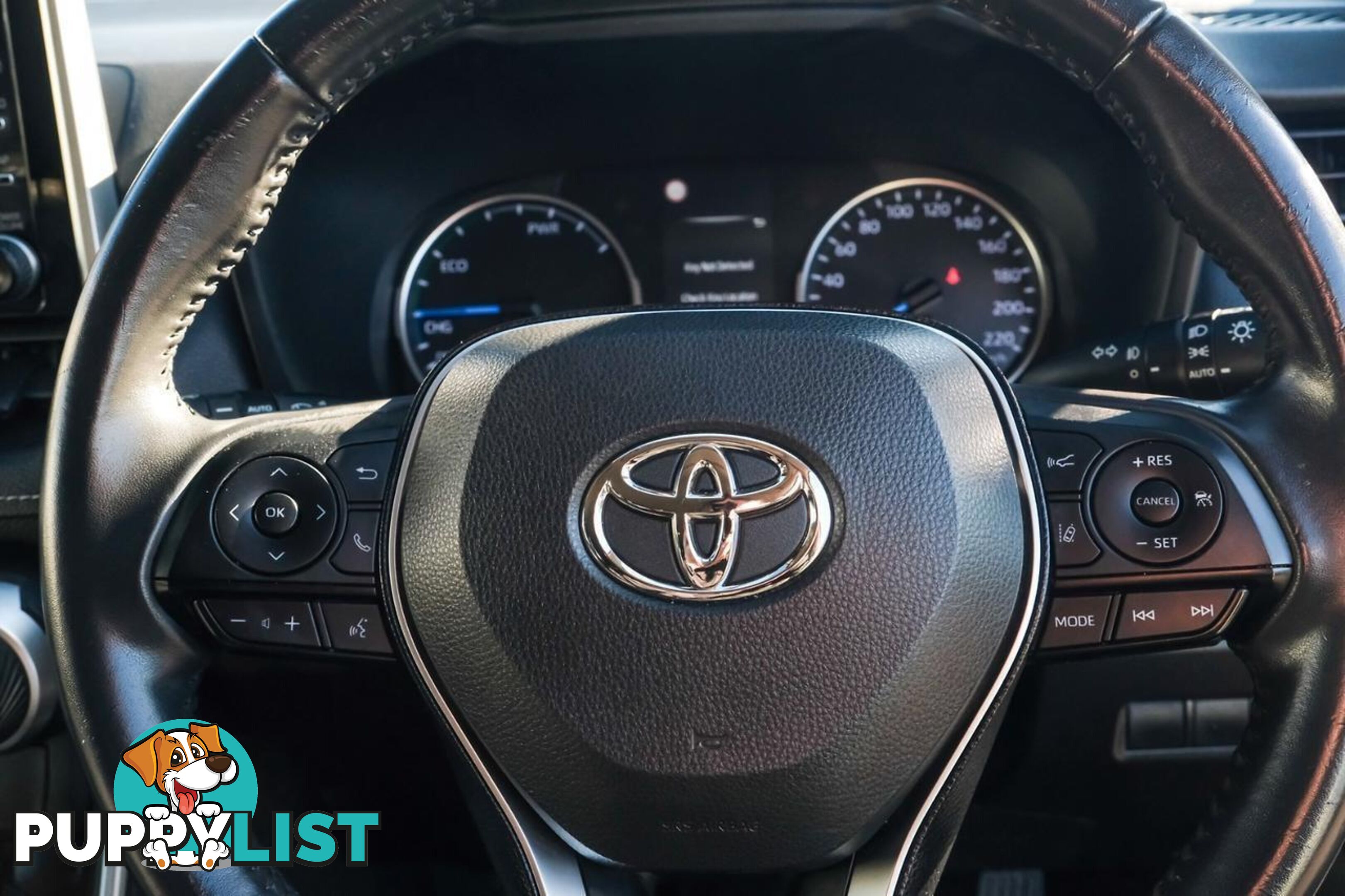 2020 TOYOTA RAV4   SUV