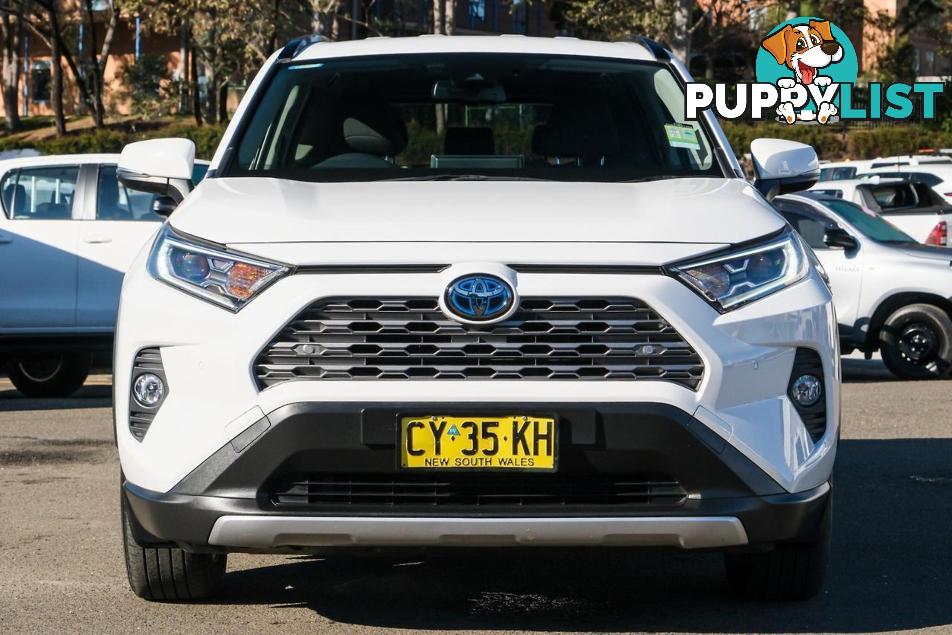 2020 TOYOTA RAV4   SUV