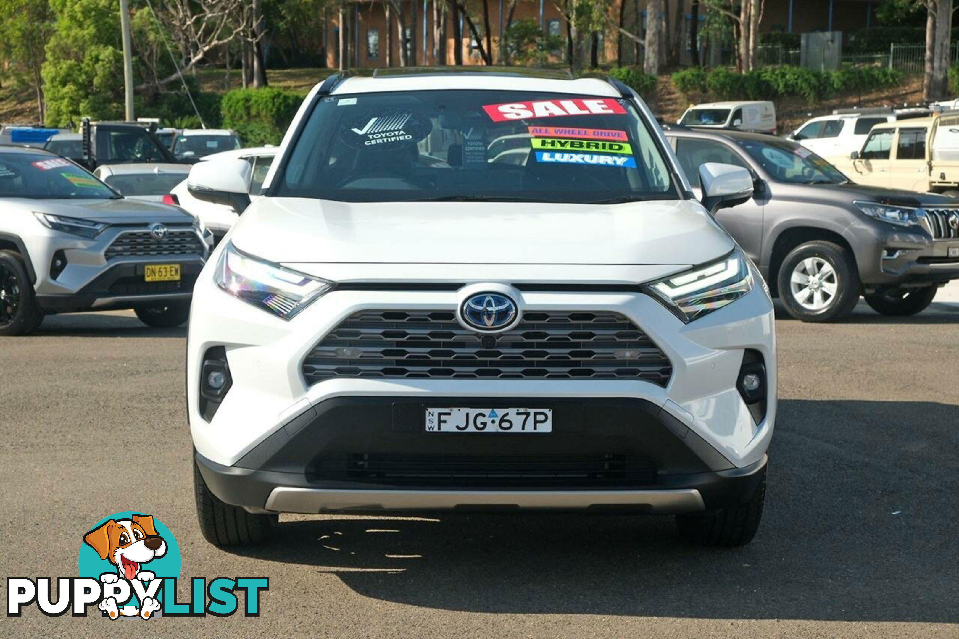 2024 TOYOTA RAV4   SUV