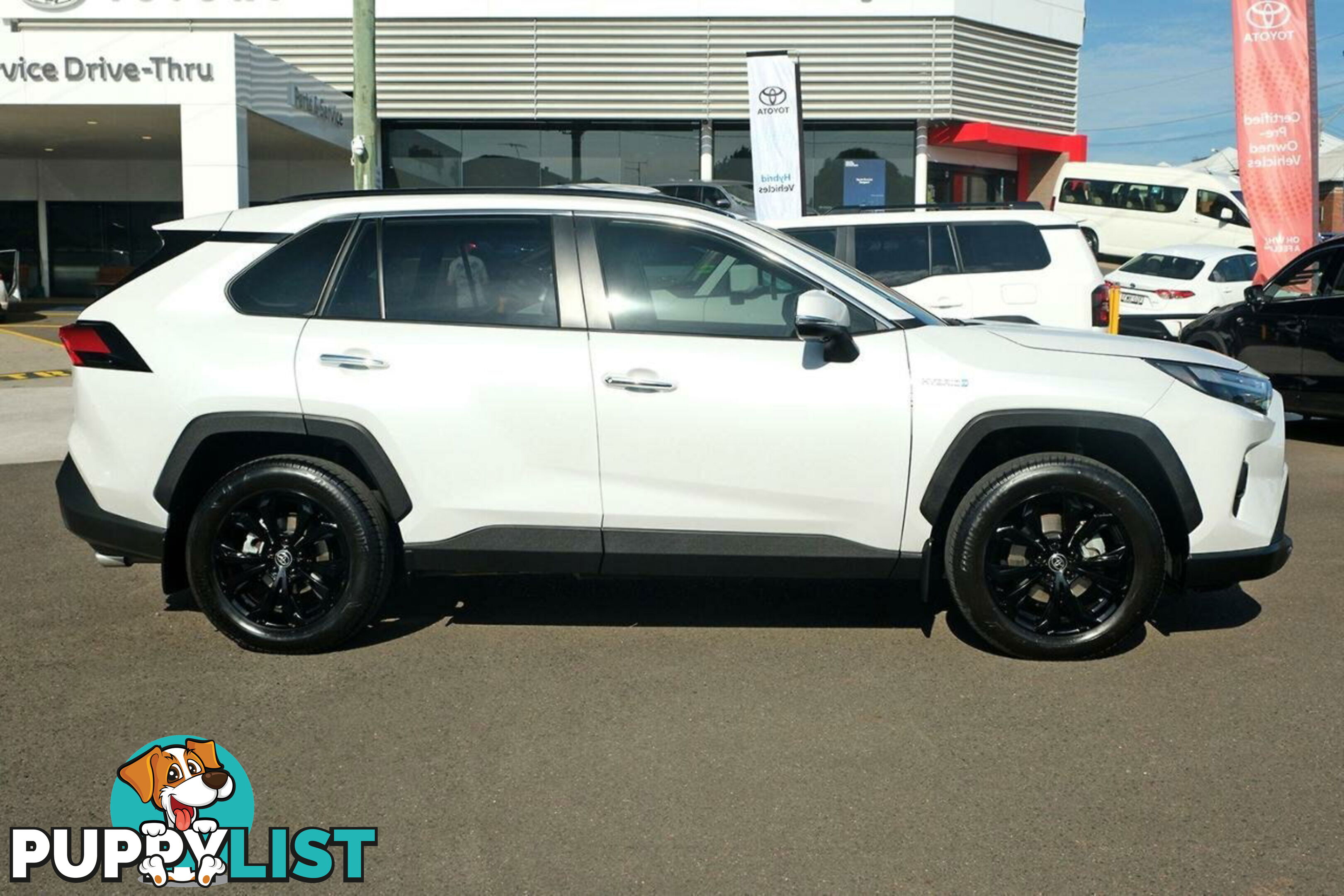 2024 TOYOTA RAV4   SUV