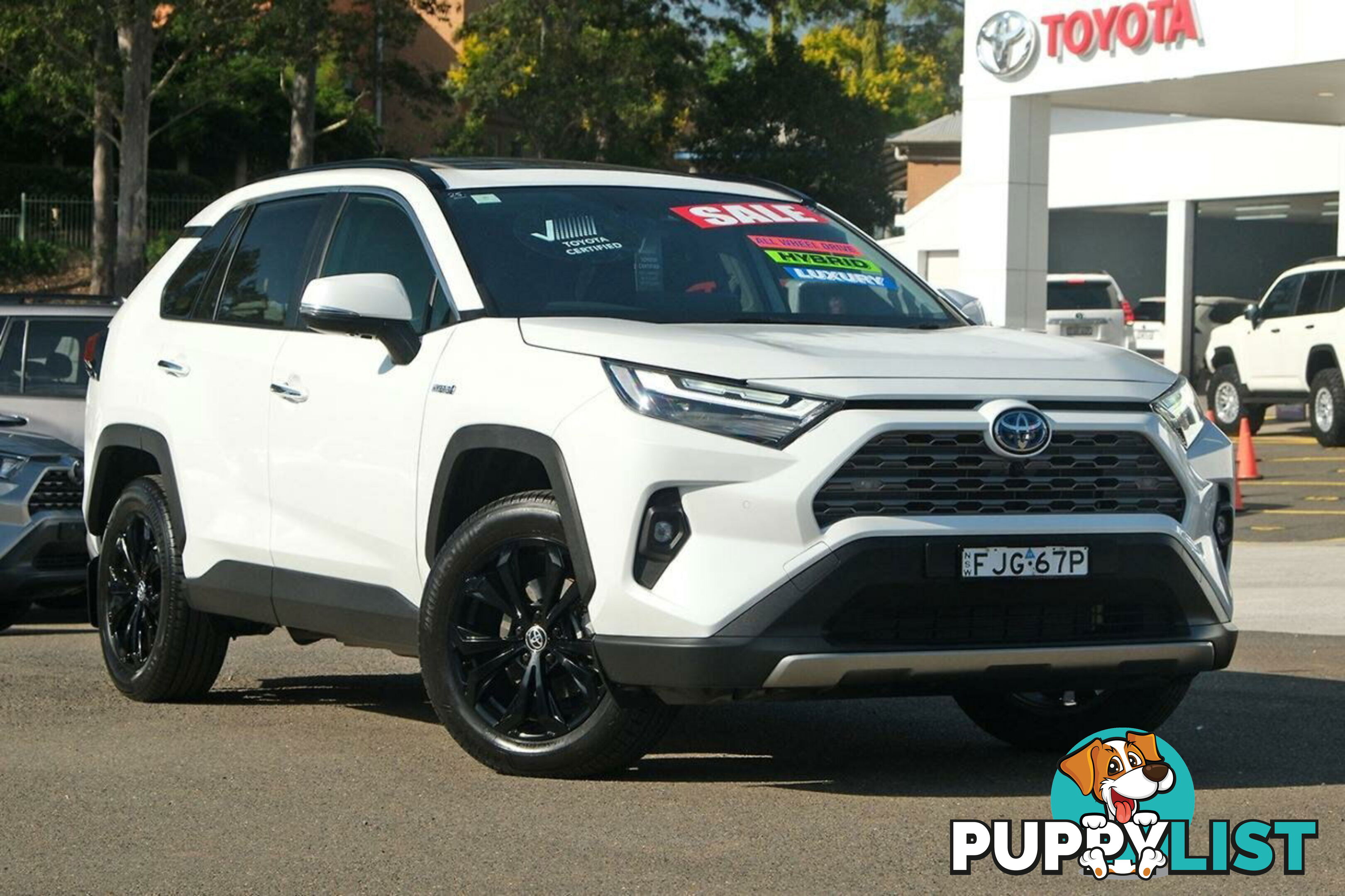 2024 TOYOTA RAV4   SUV