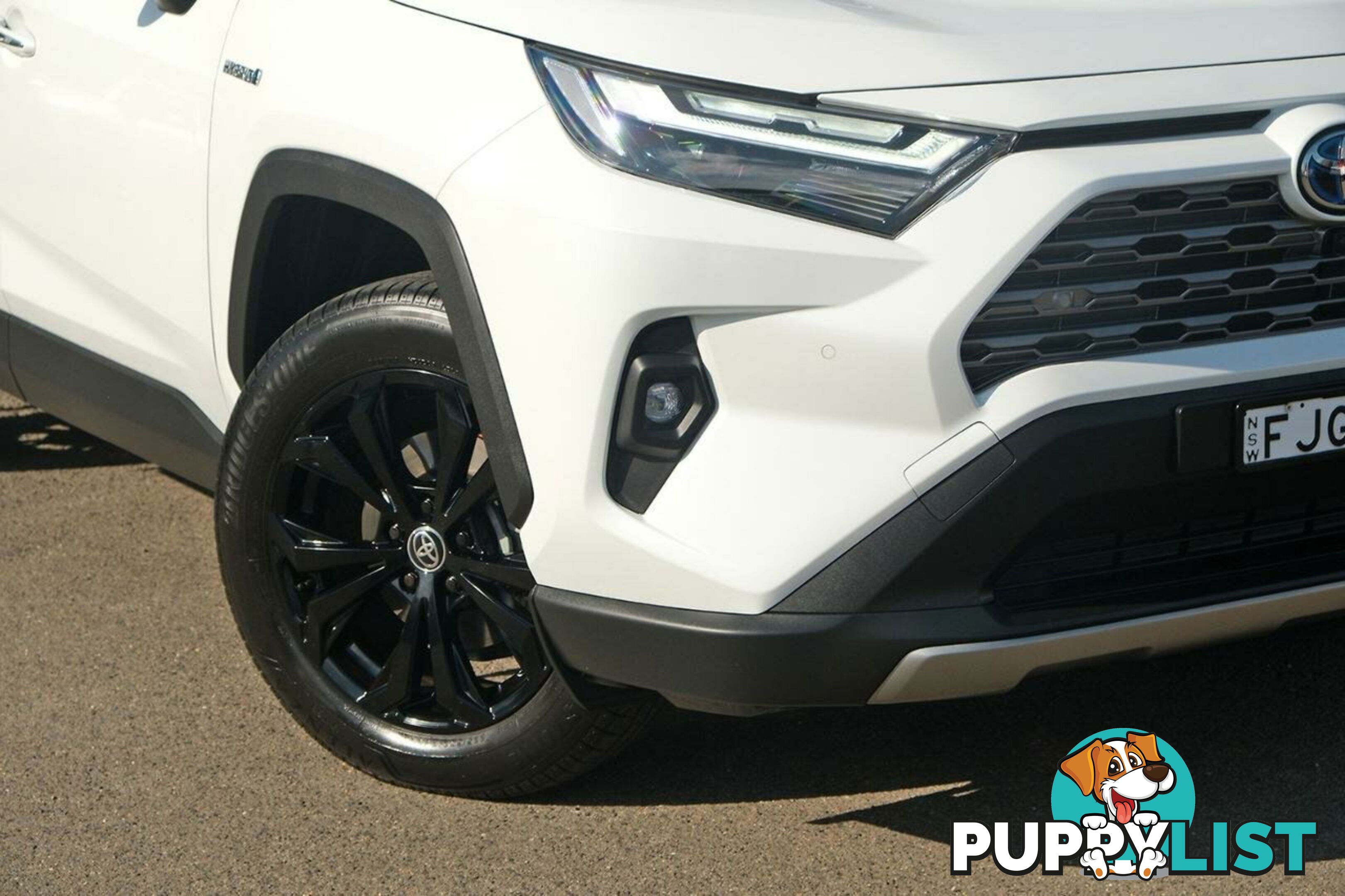 2024 TOYOTA RAV4   SUV