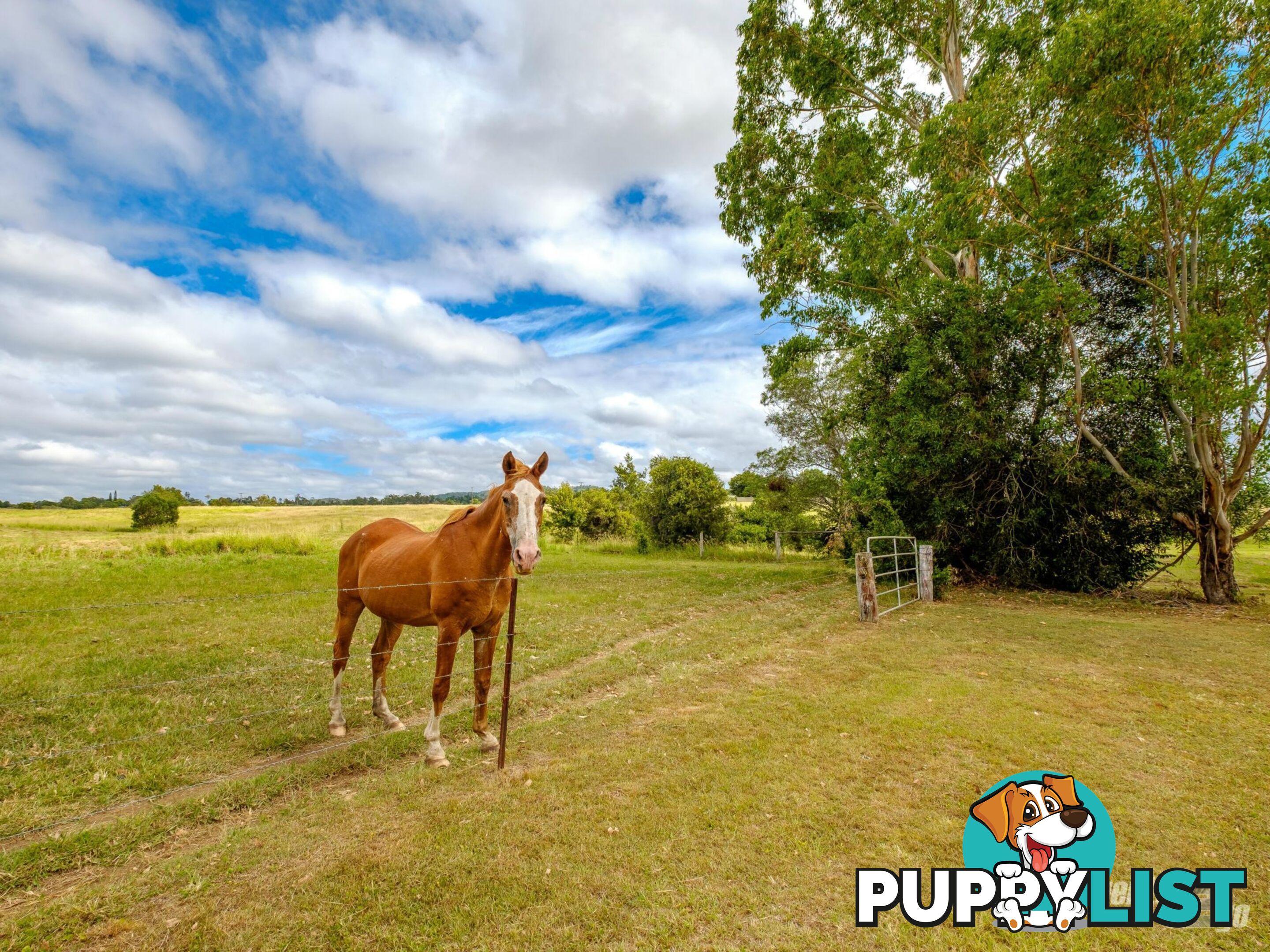 32 Vantage Road CHATSWORTH QLD 4570