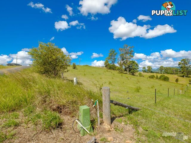 268 Hyland Road EAST DEEP CREEK QLD 4570