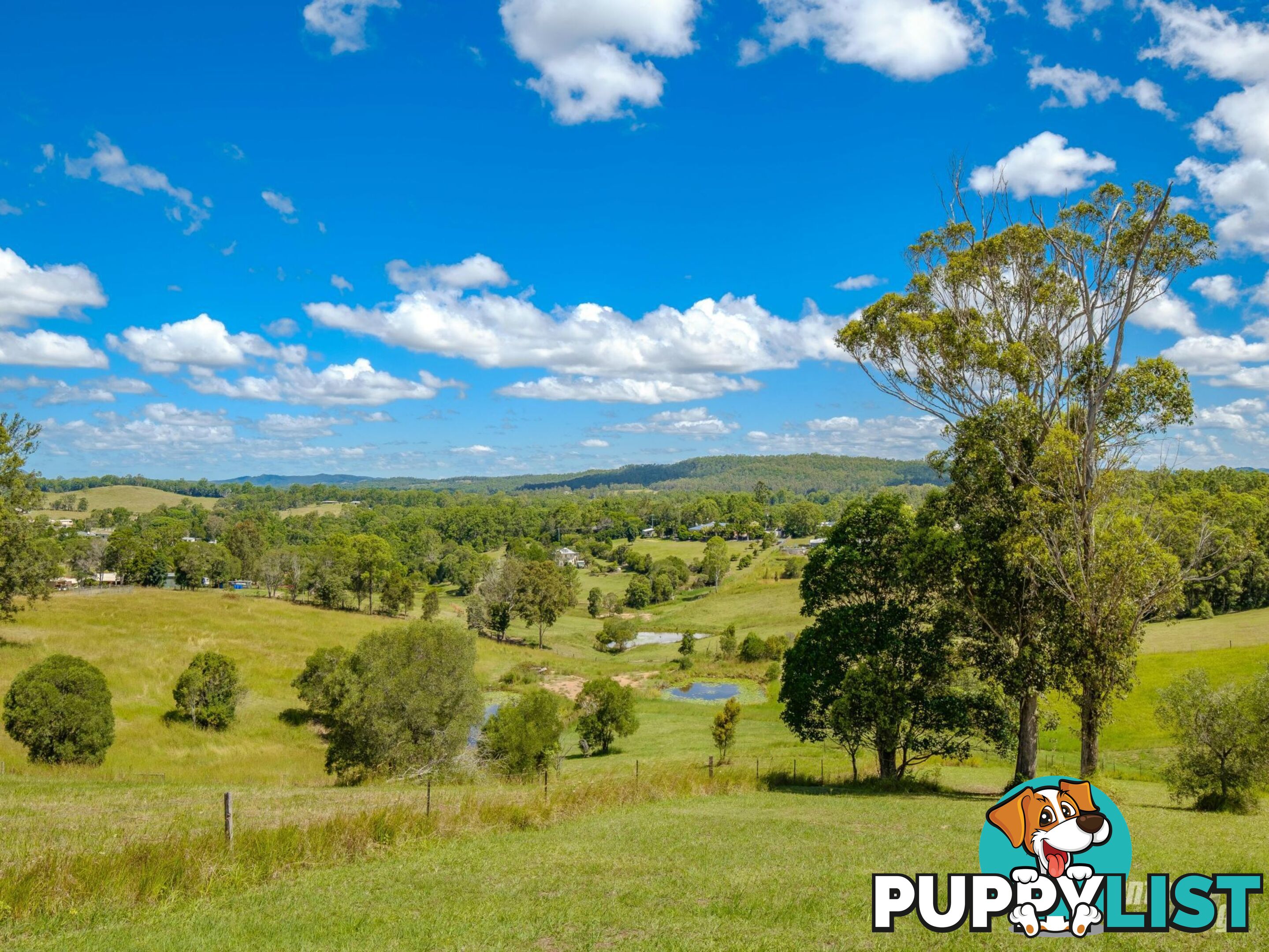 268 Hyland Road EAST DEEP CREEK QLD 4570