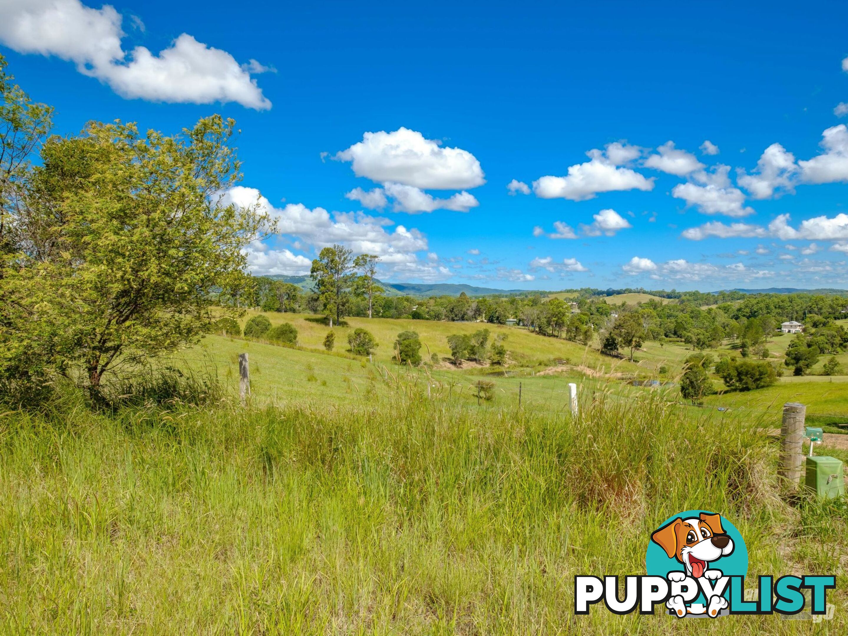 268 Hyland Road EAST DEEP CREEK QLD 4570