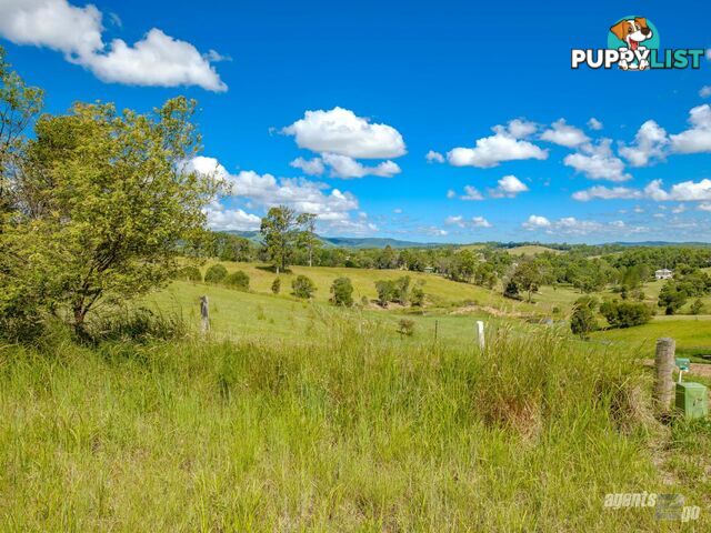 268 Hyland Road EAST DEEP CREEK QLD 4570