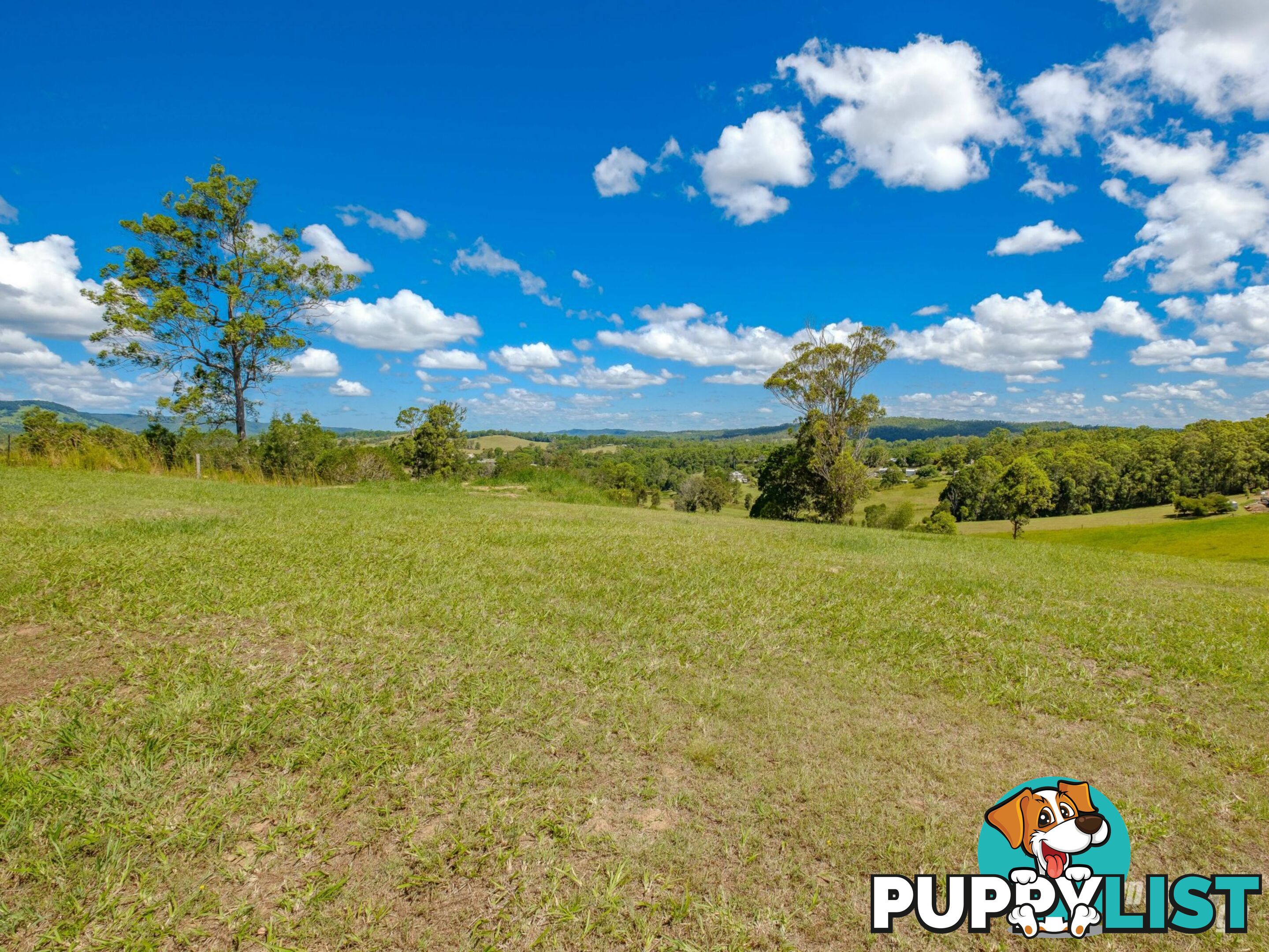 268 Hyland Road EAST DEEP CREEK QLD 4570