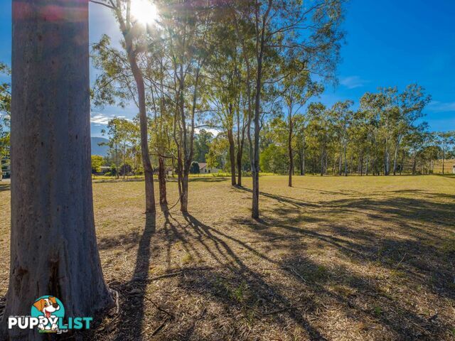 L1 Little Widgee Road WIDGEE QLD 4570